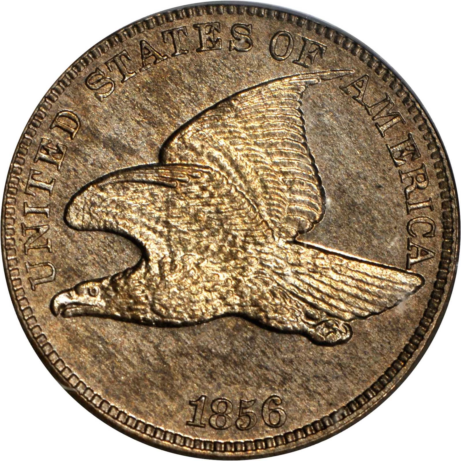 Rare Flying Eagle one cent coin sells for $11,128 - do you have