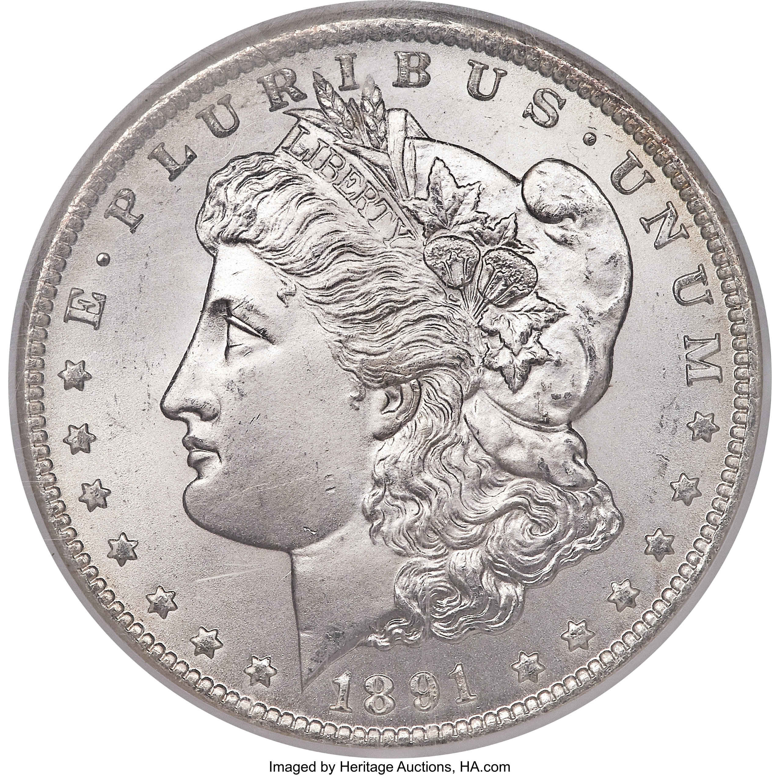 1891 CC Morgan Dollar Spitting Eagle VAM 3 Coin Pricing Guide