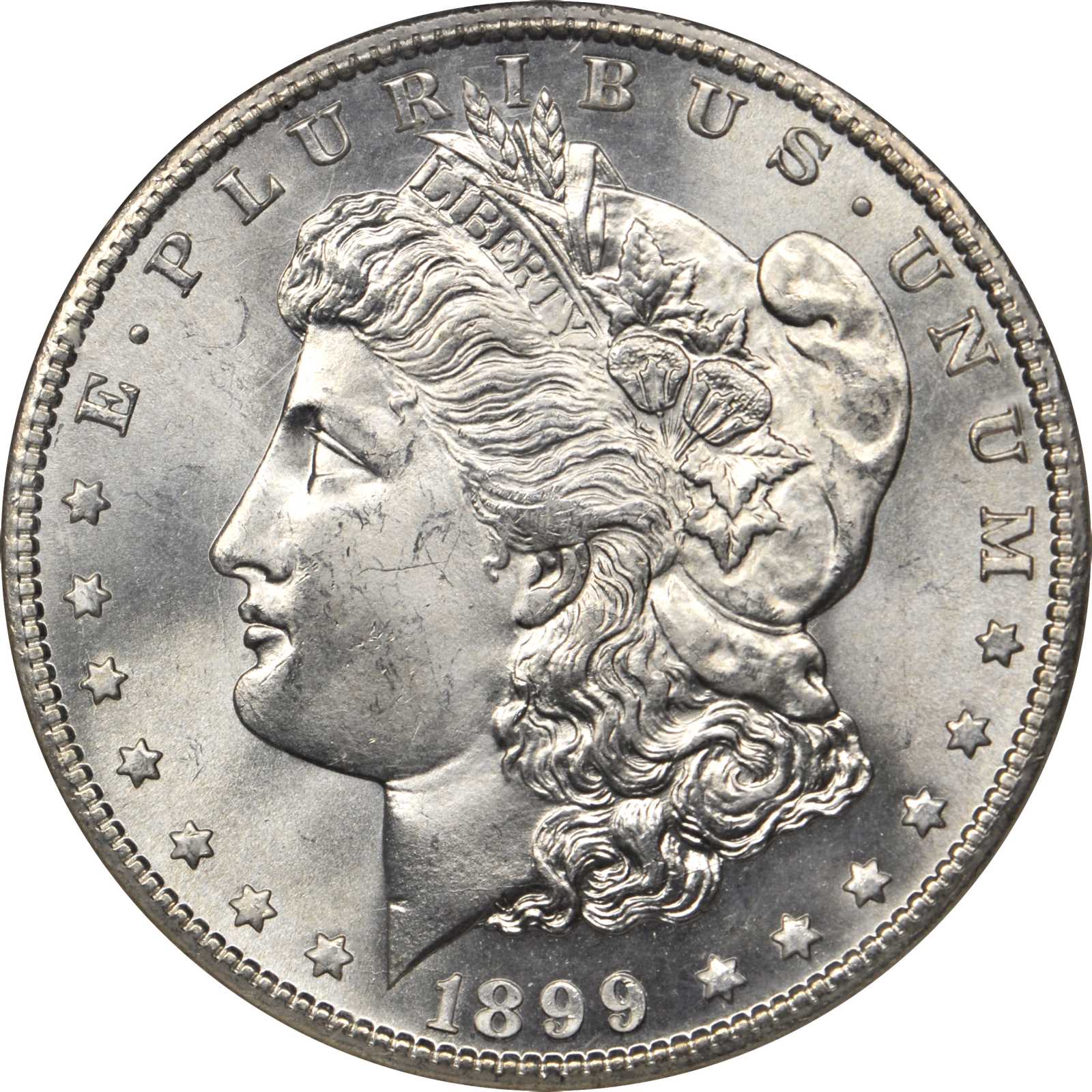 image for: 1899/99-S Morgan Silver Dollar. VAM-7. Top 100 Variety. Repunched Date. MS-67 (NGC).