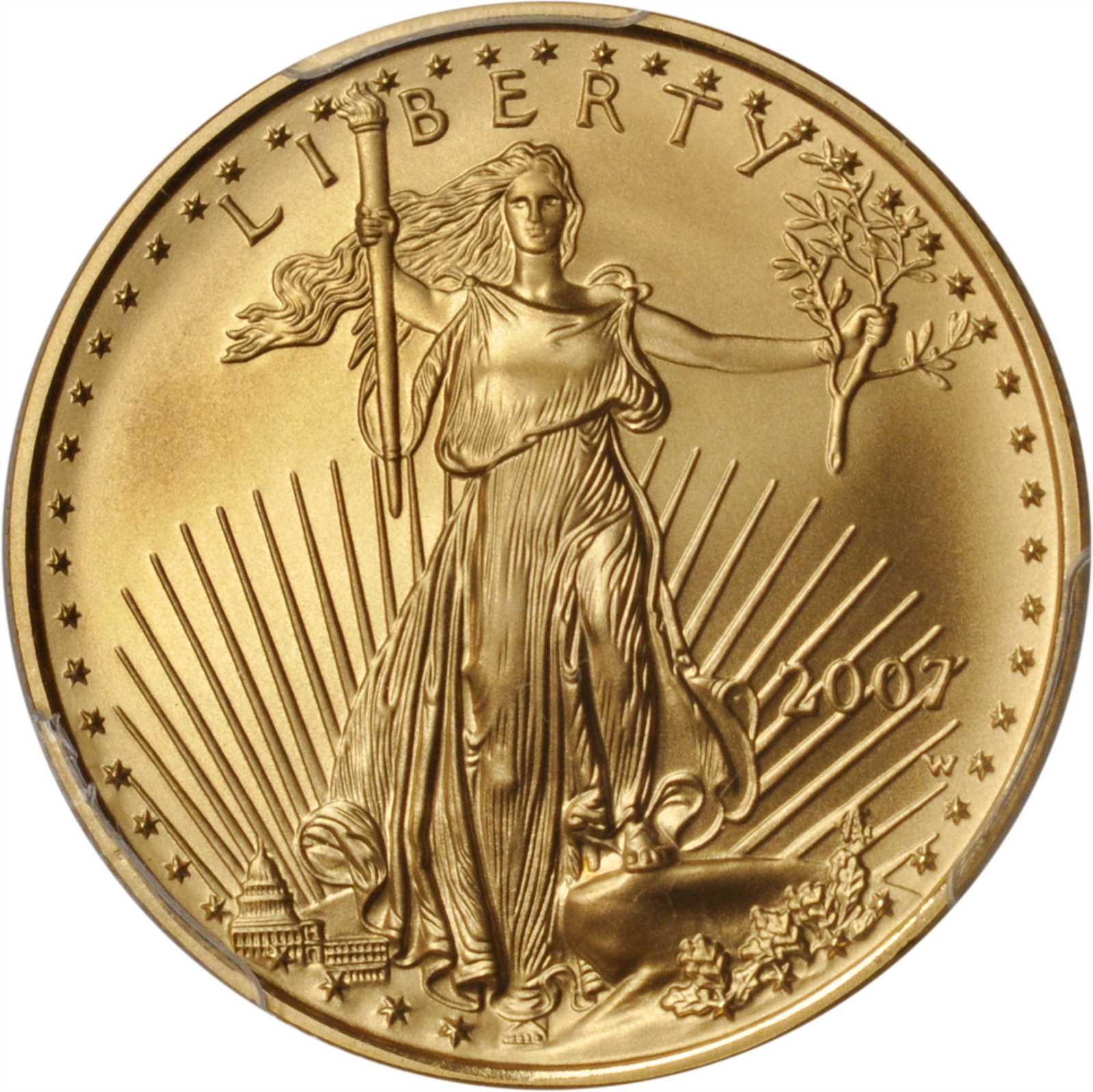 2007-W $25 Gold Eagle, Burnished MS