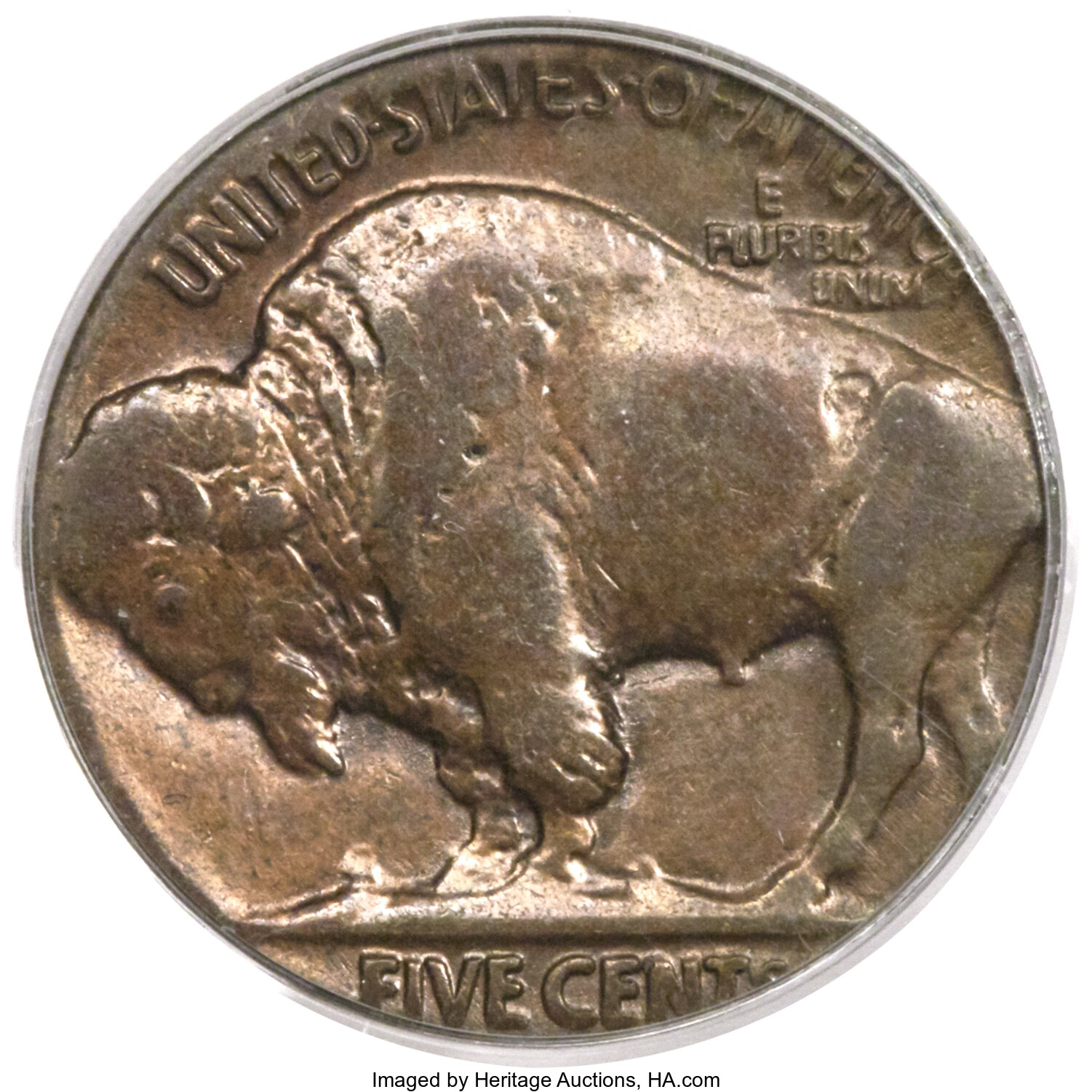 1920 5c MS61 CAC thumbnail 3