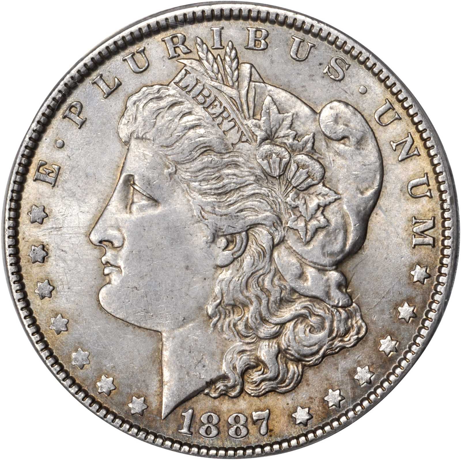 1887 Alligator Eye One Dollar VAM 12 MS Values | Greysheet