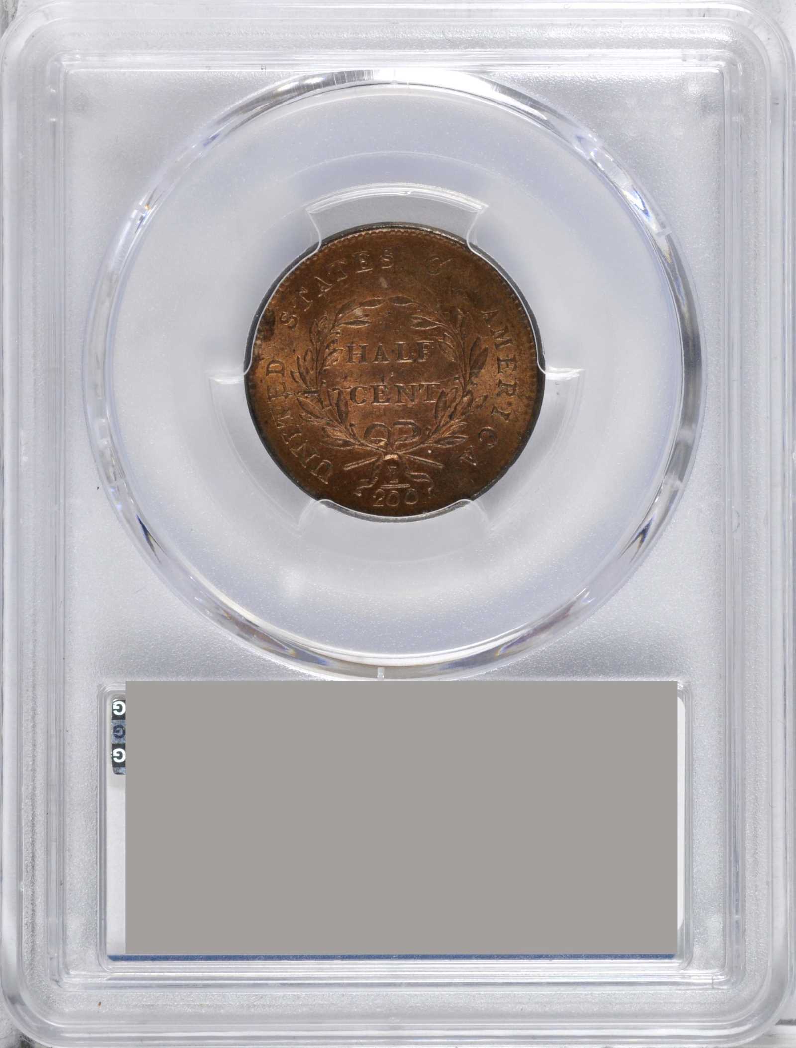 Draped Bust Half Cent 1/2c 1800-1808 MS RB [Type] MS65 RB thumbnail 23
