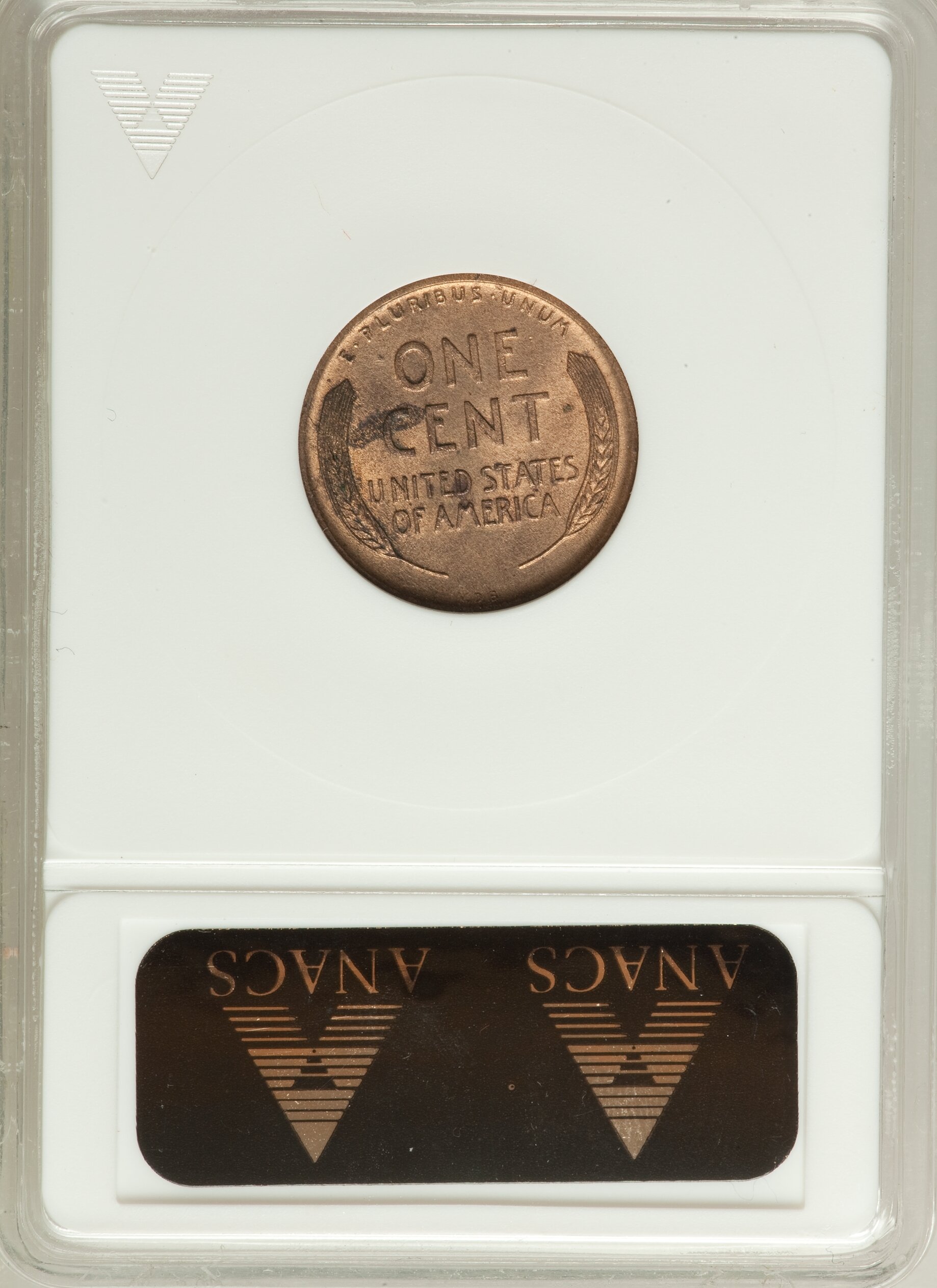 1909 VDB 1c MS RB MS62 RB CAC thumbnail 6