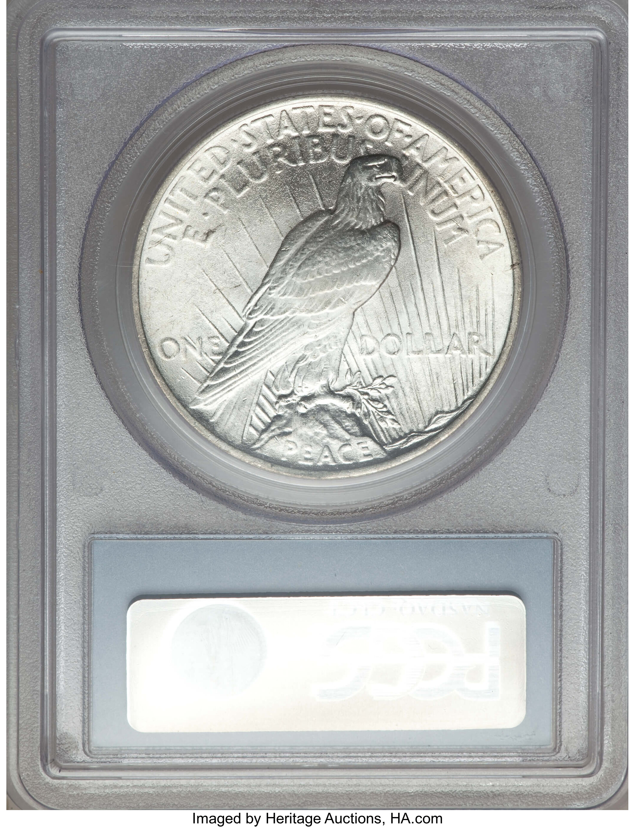 1924 $1  Doubled Reverse, VAM-2 MS63 CAC thumbnail 20