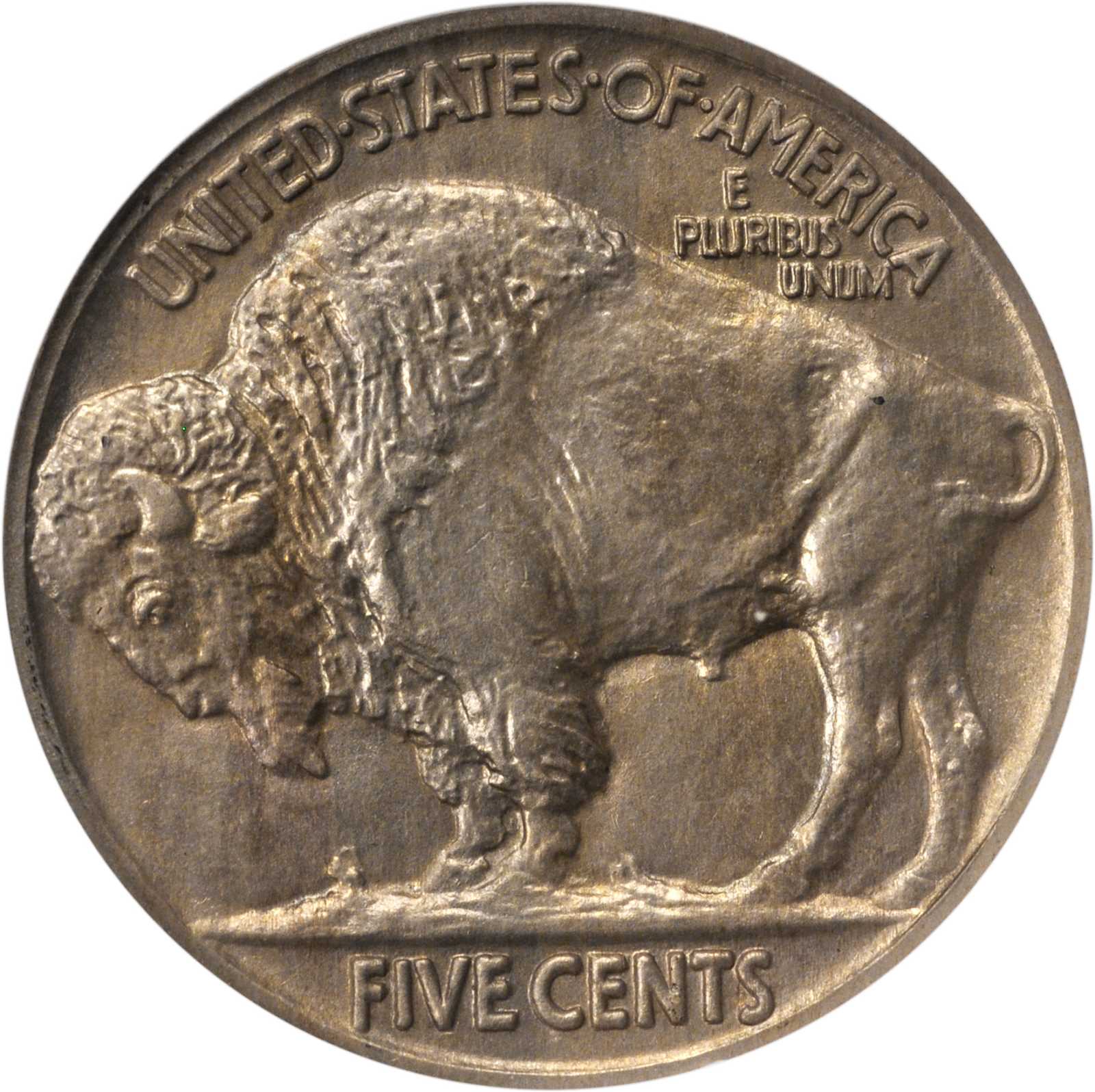 1913 5c Buffalo, Matte Finish, Type 2 PR60 thumbnail 4