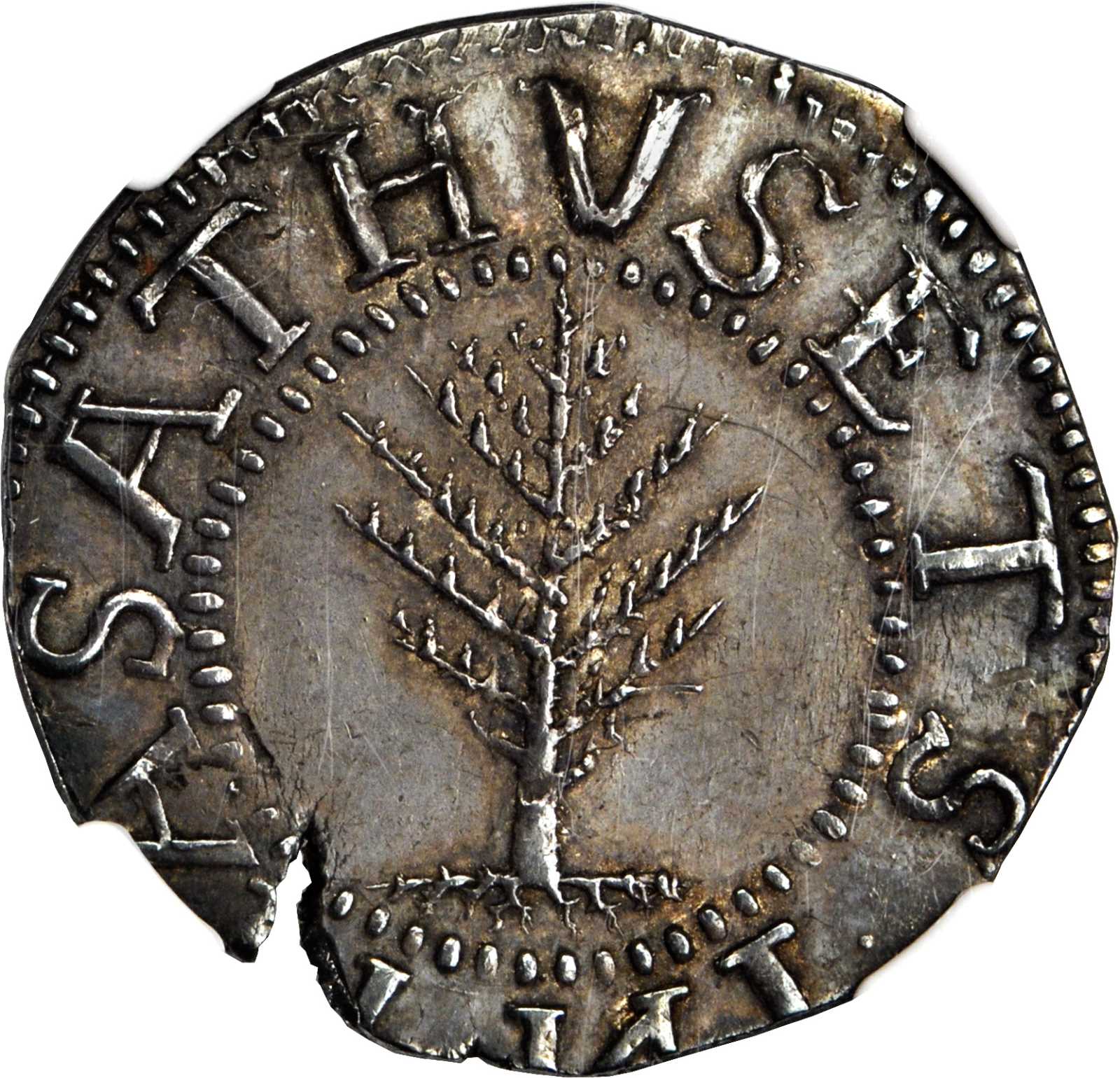 1652 Pine Tree Shilling. Large Planchet. Noe-2, Salmon 2-C. Rarity-4. Without Pellets at Trunk. MS-60 (NGC).