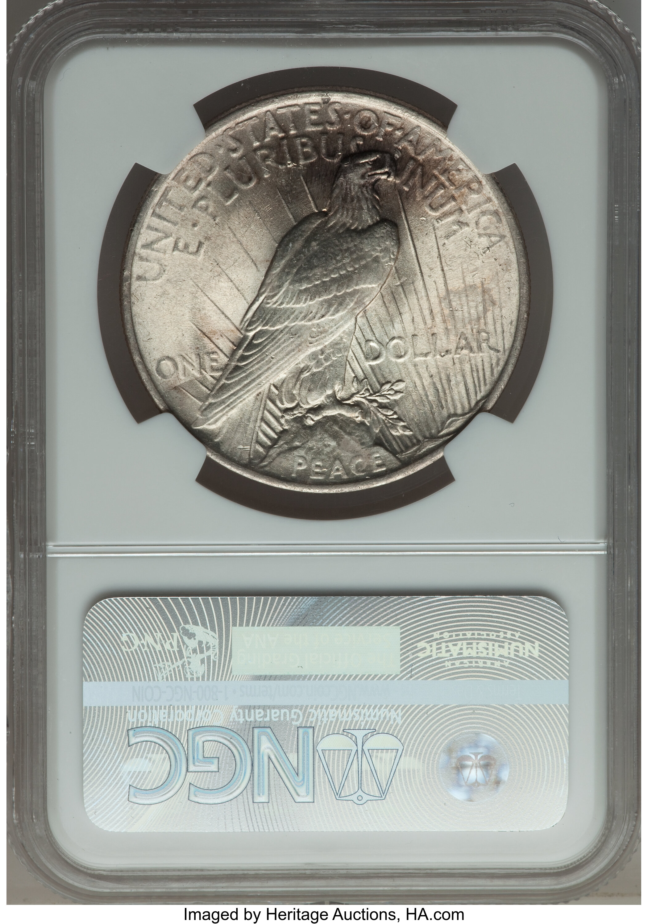1924 $1  Doubled Reverse, VAM-2 MS63 CAC thumbnail 22