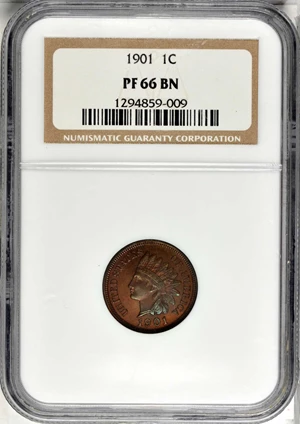 image for: 1901 Indian Cent. Proof-66 BN (NGC).