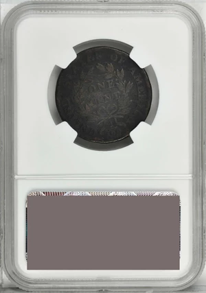 image for: 1800 Draped Bust Cent. S-205. Rarity-4. Good Details--Environmental Damage (NGC).