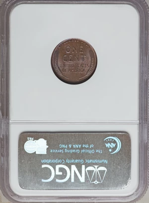 image for: 1909 VDB 1C MS66 Brown NGC. NGC Census: (28/1). PCGS Population (14/0). Mintage: 27,995,000. Numismedia Wsl. Price for prob...