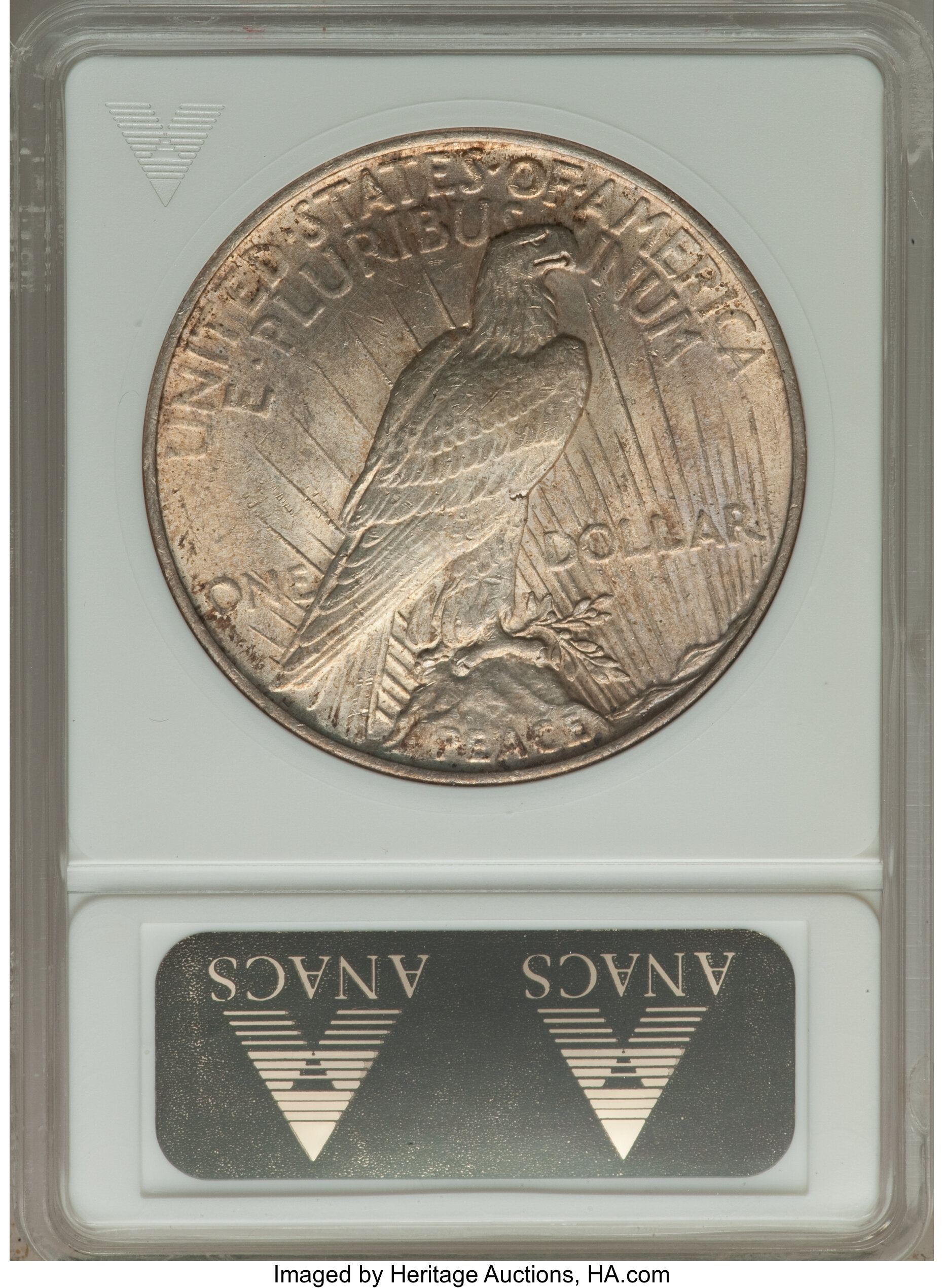 1924 $1  Doubled Reverse, VAM-2 MS64 CAC thumbnail 8