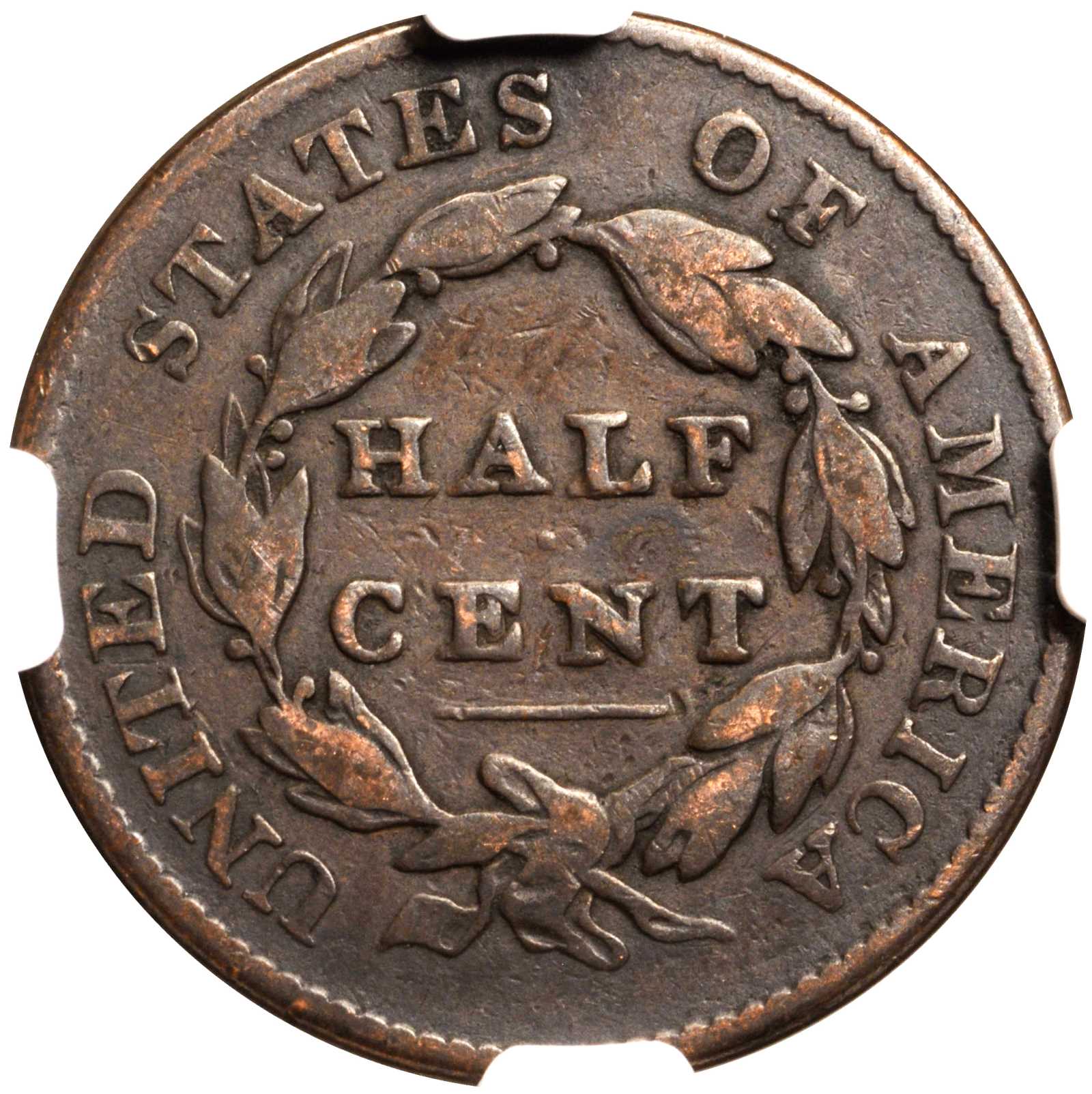 image for: 1825 Classic Head Half Cent. C-1. Rarity-3. Manley Die State 3.0. Fine-12 BN (NGC).