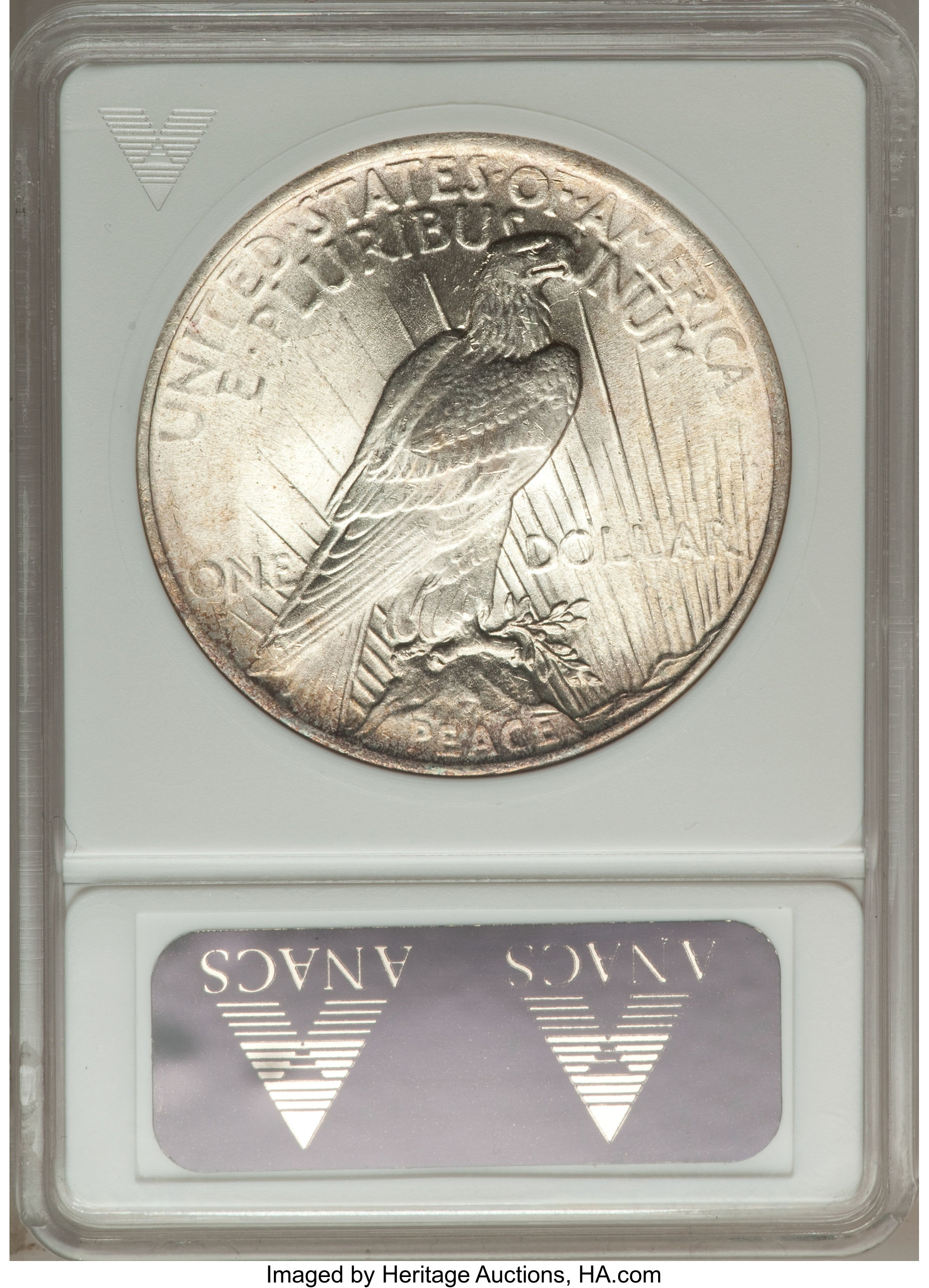 1924 $1  Doubled Reverse, VAM-2 MS63 thumbnail 20
