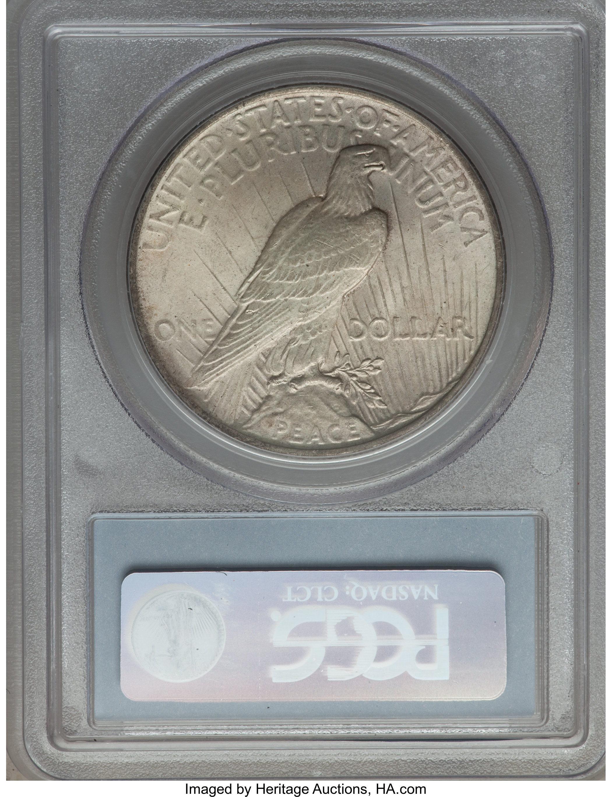 1924 $1  Doubled Reverse, VAM-2 MS64 CAC thumbnail 12
