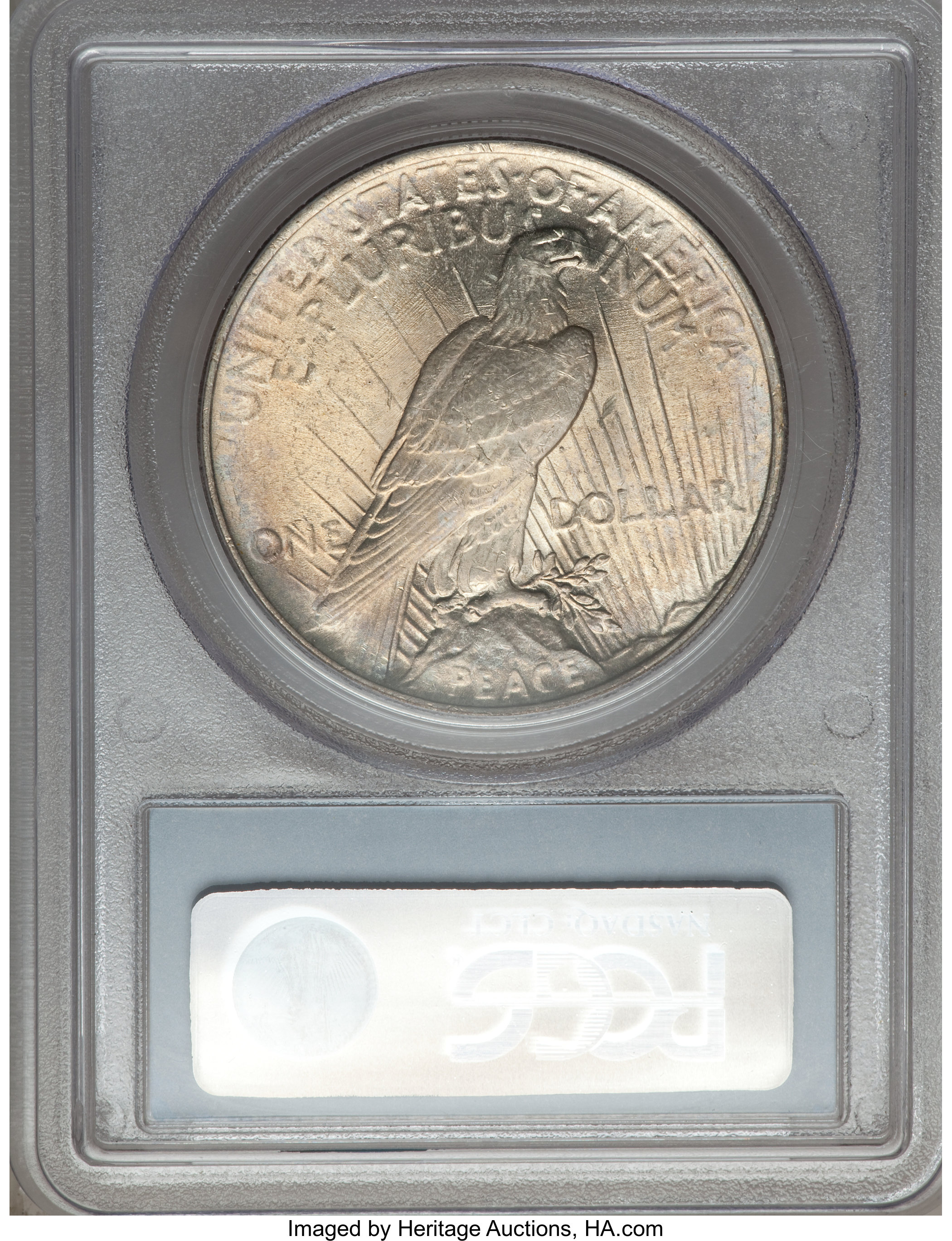1924 $1  Doubled Reverse, VAM-2 MS64 CAC thumbnail 10