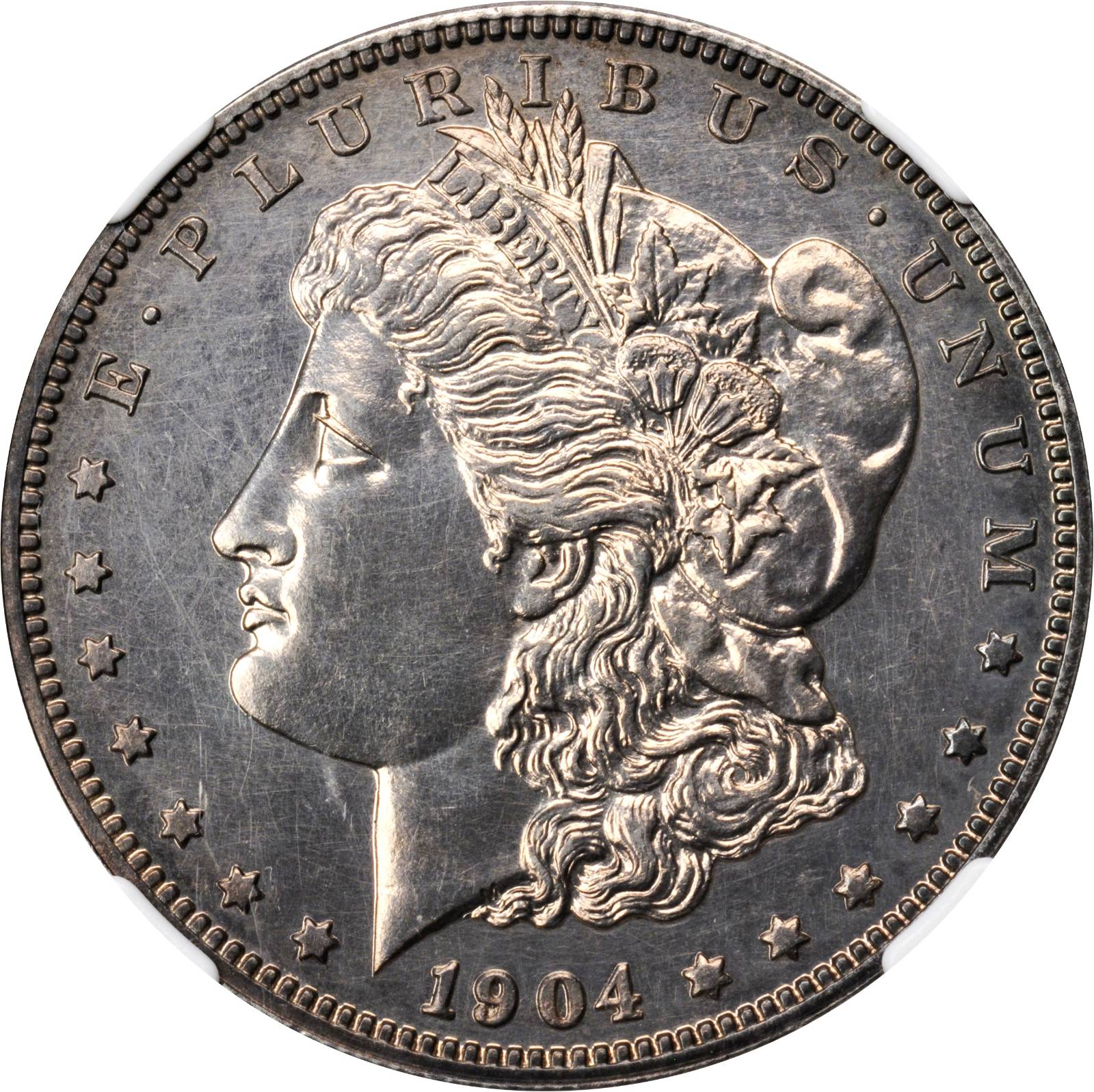1904 Morgan Silver Dollar. Proof Details--Improperly Cleaned (NGC).