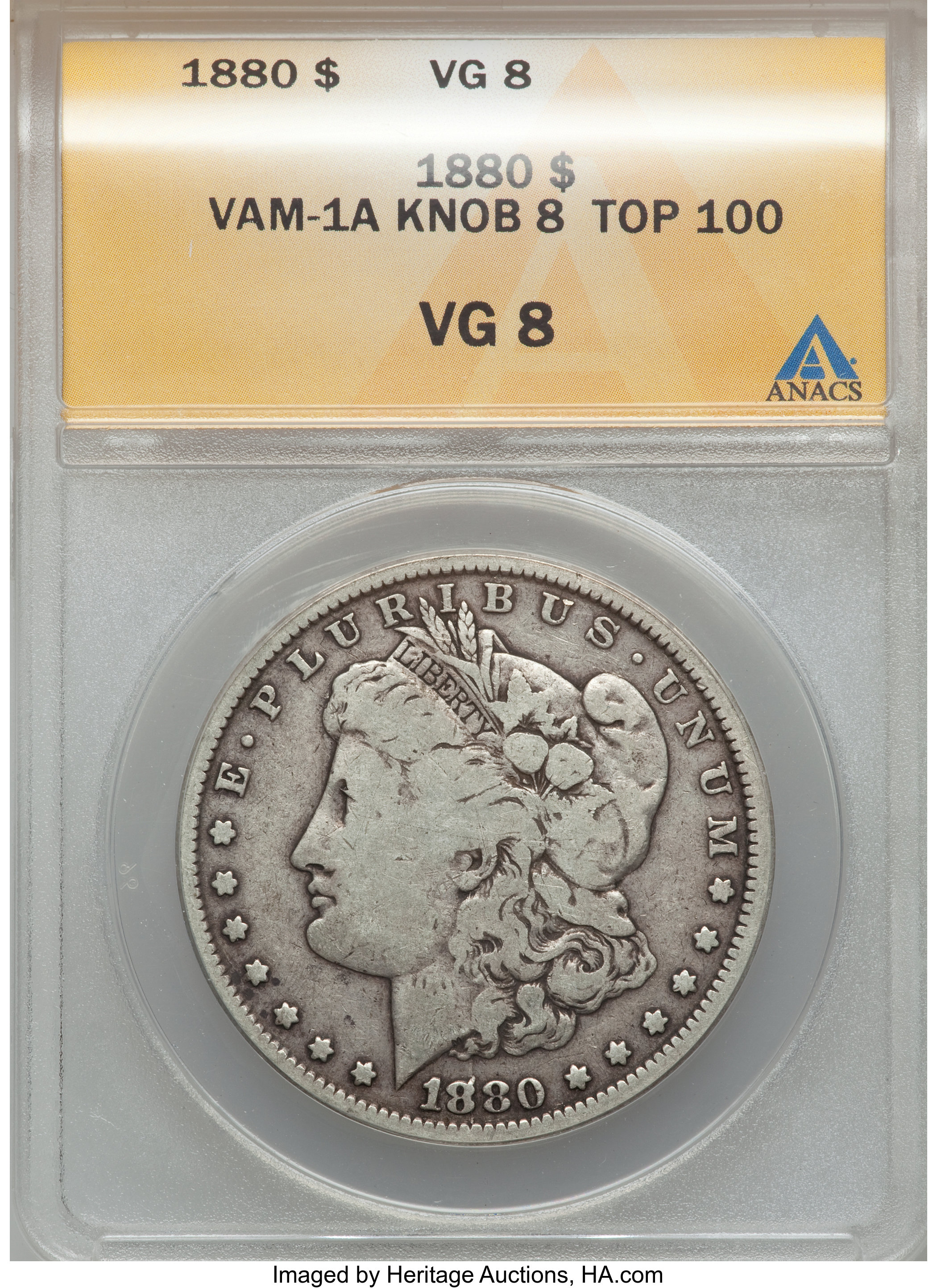1880 $1 VG8 ANACS. Knob 8, Vam-1A, Top-100. NGC Census: (1/11817). PCGS Population (1/11209). Mintage: 12,601,355. Numismed...