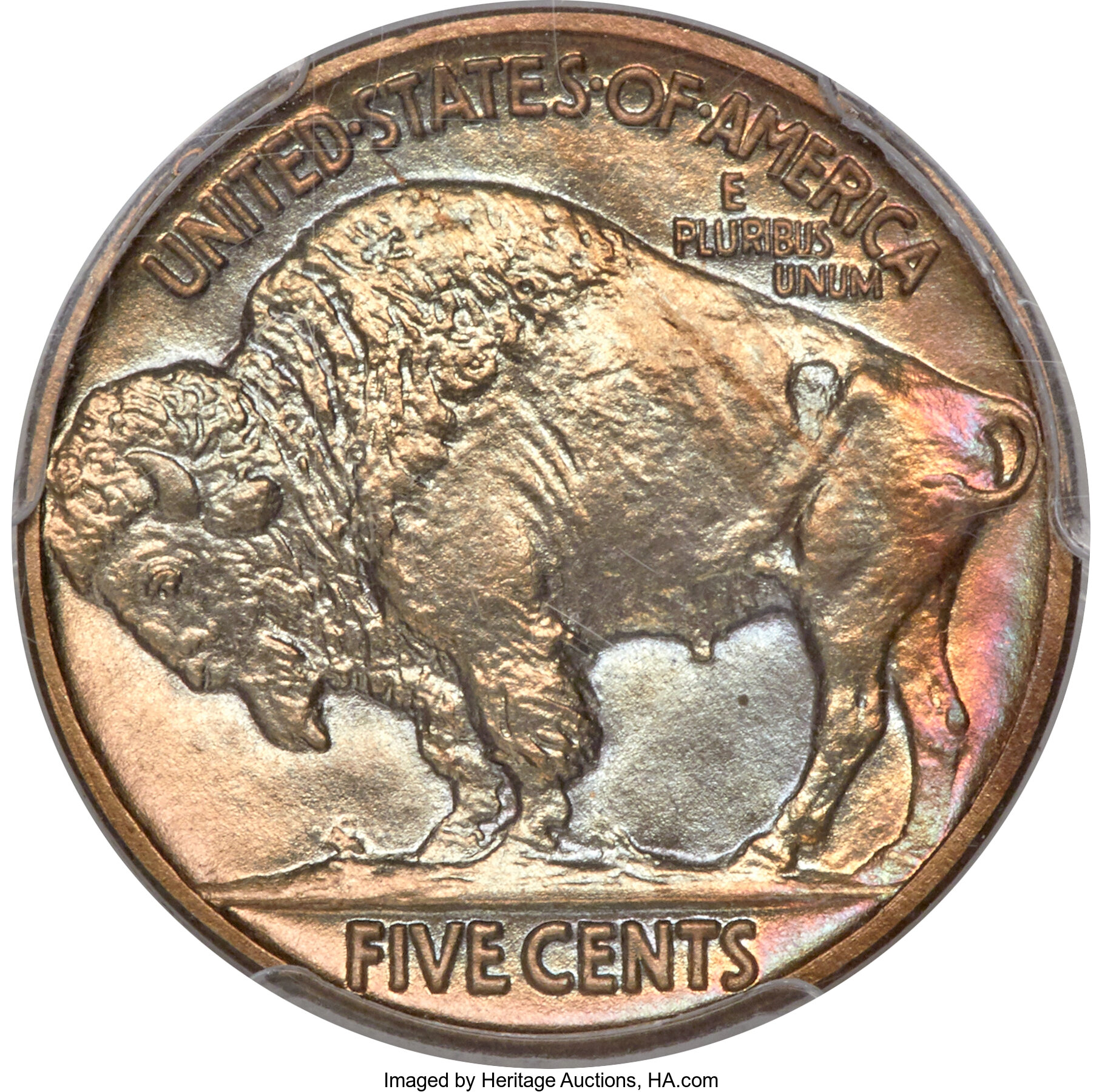 1913 5c Buffalo, Matte Finish, Type 2 PR68 CAC thumbnail 3