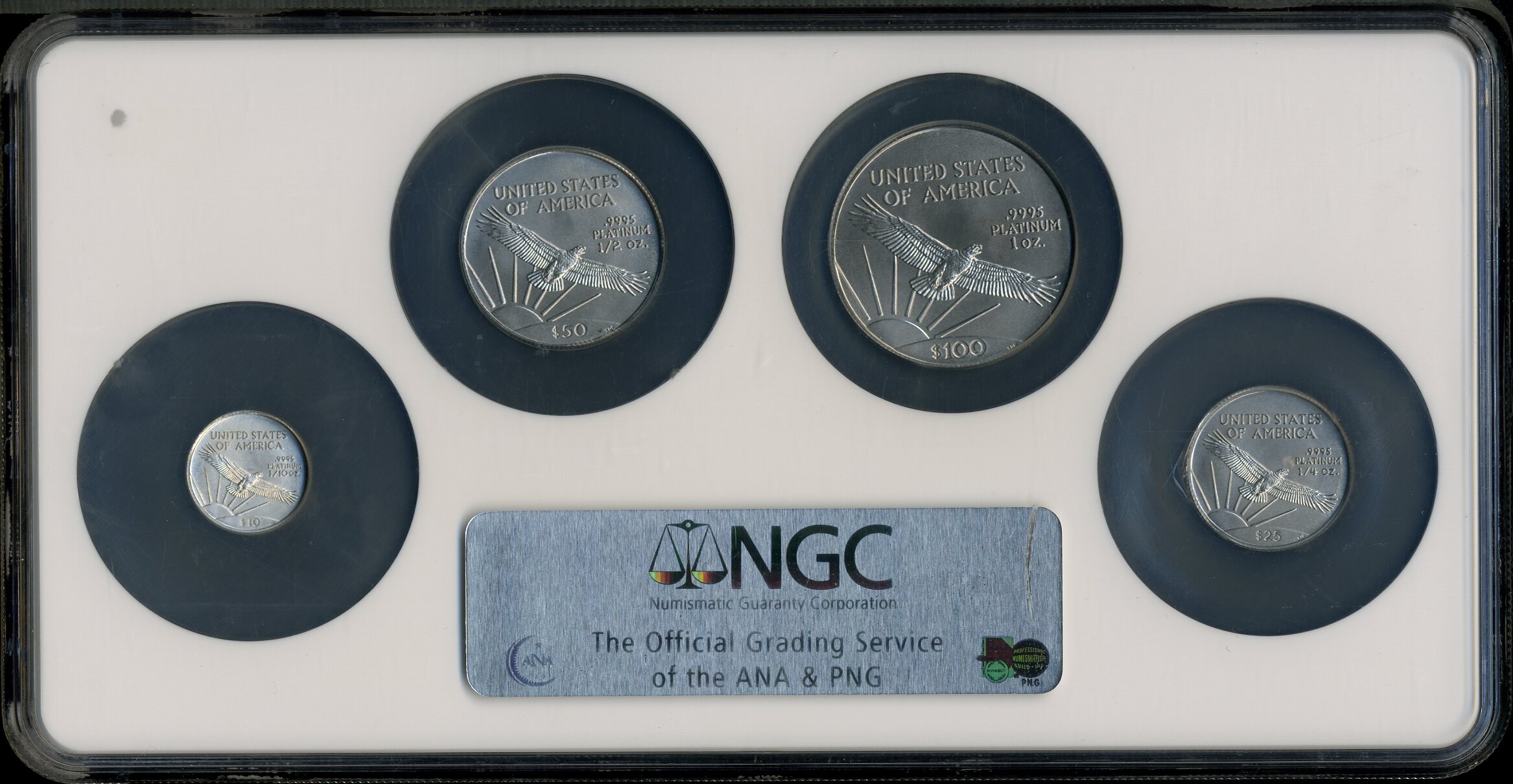 image for: 2004 SET Set of Four Platinum Eagles MS69 NGC. This Set Includes: 2004 $100 One-Ounce Platinu... (Total: 4 coins)