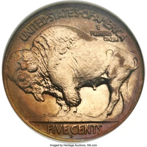 image for: 1920-D 5C MS66 NGC....
