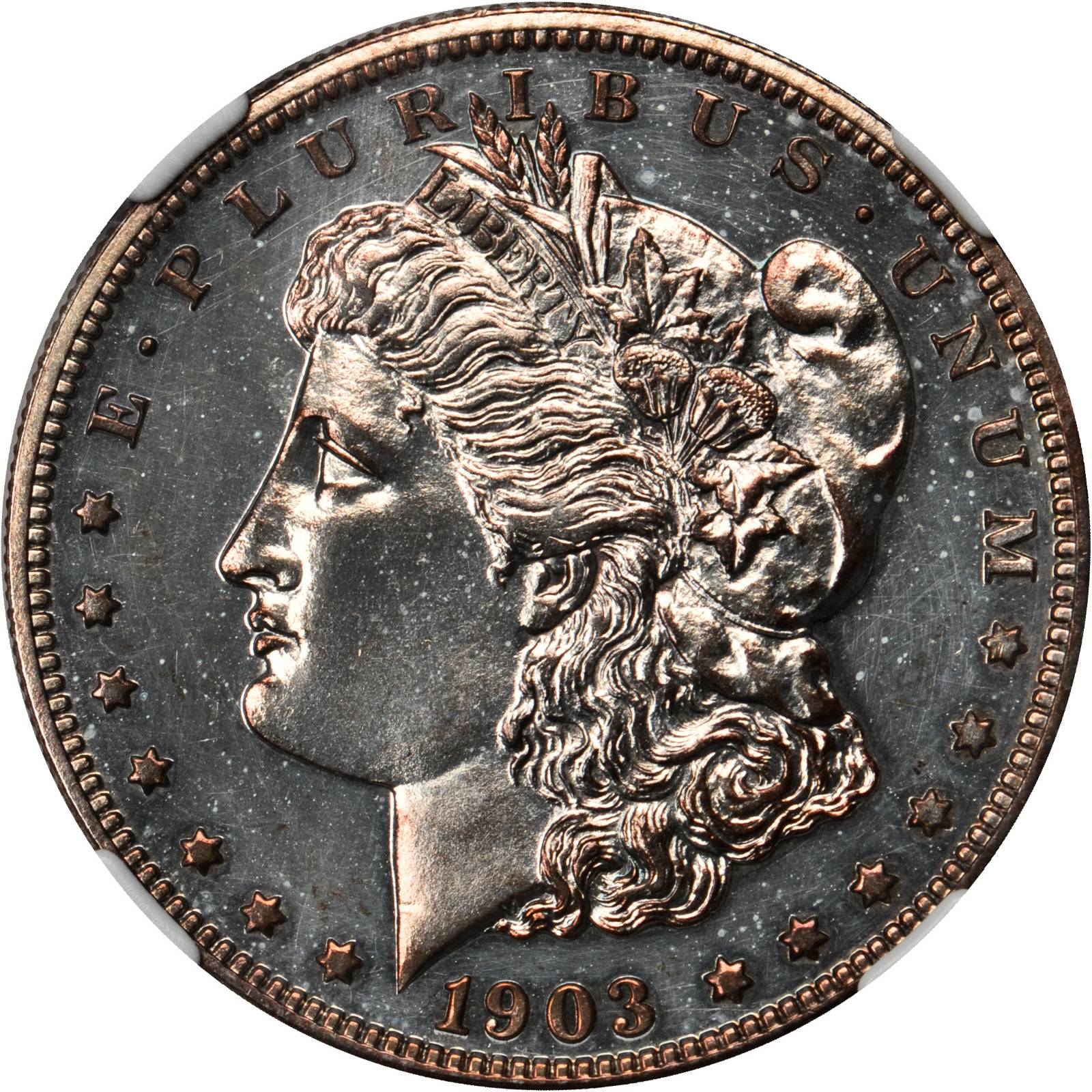 1903 Morgan Silver Dollar. Proof--Improperly Cleaned (NGC).