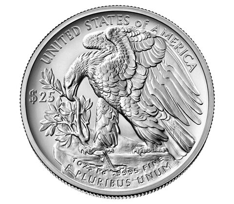 image for: American Eagle 2020 One Ounce Palladium Uncirculated Coin