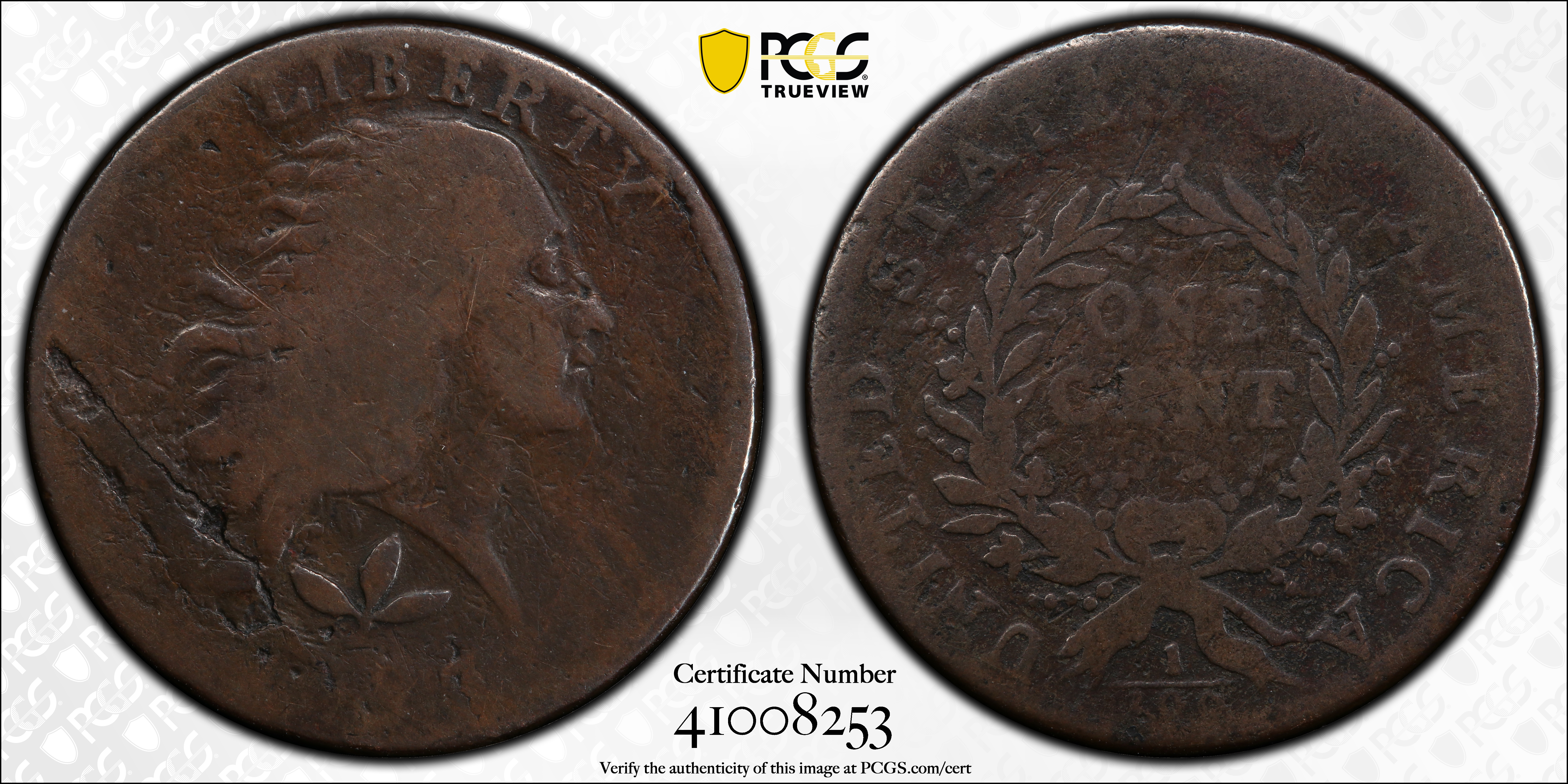image for: 1793 Flowing Hair Cent. Wreath Reverse. S-5. Rarity-4. Vine and Bars Edge. Good Details--Planchet Flaw (PCGS).