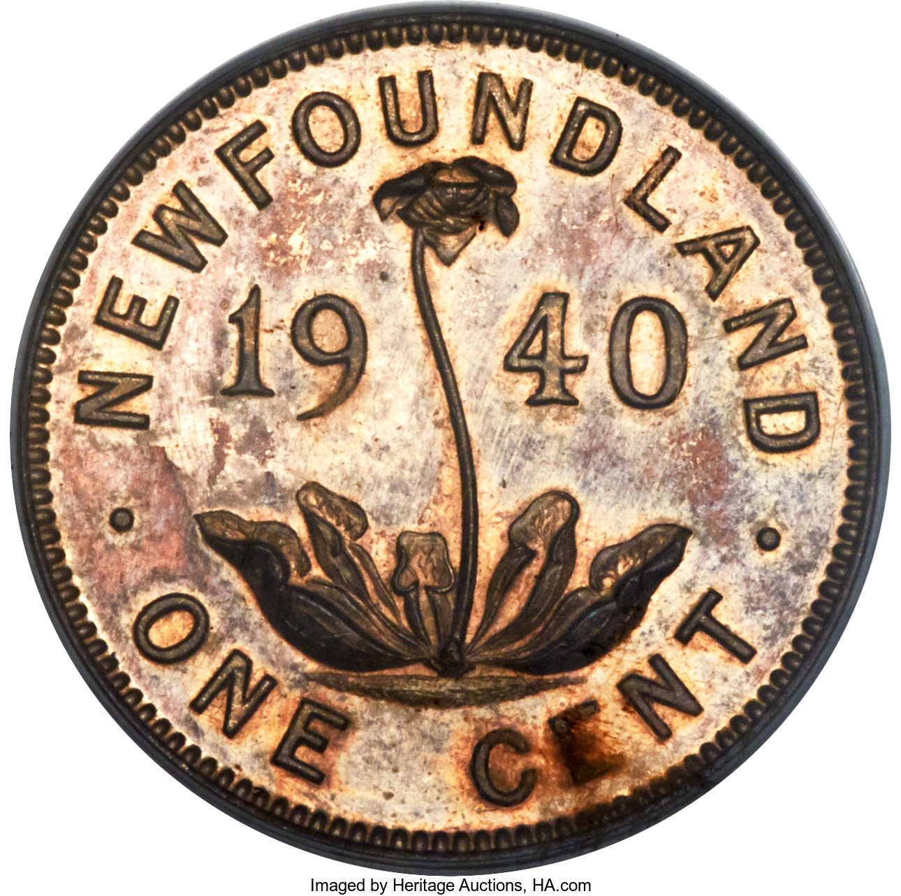 image for: Newfoundland. George VI Specimen Cent 1940 SP66 Red and Brown PCGS