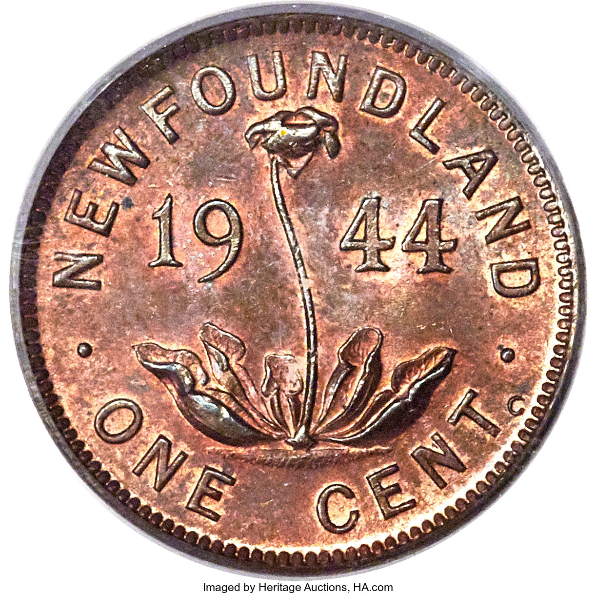 image for: Newfoundland. George VI Cent 1944-C MS64 Red and Brown PCGS
