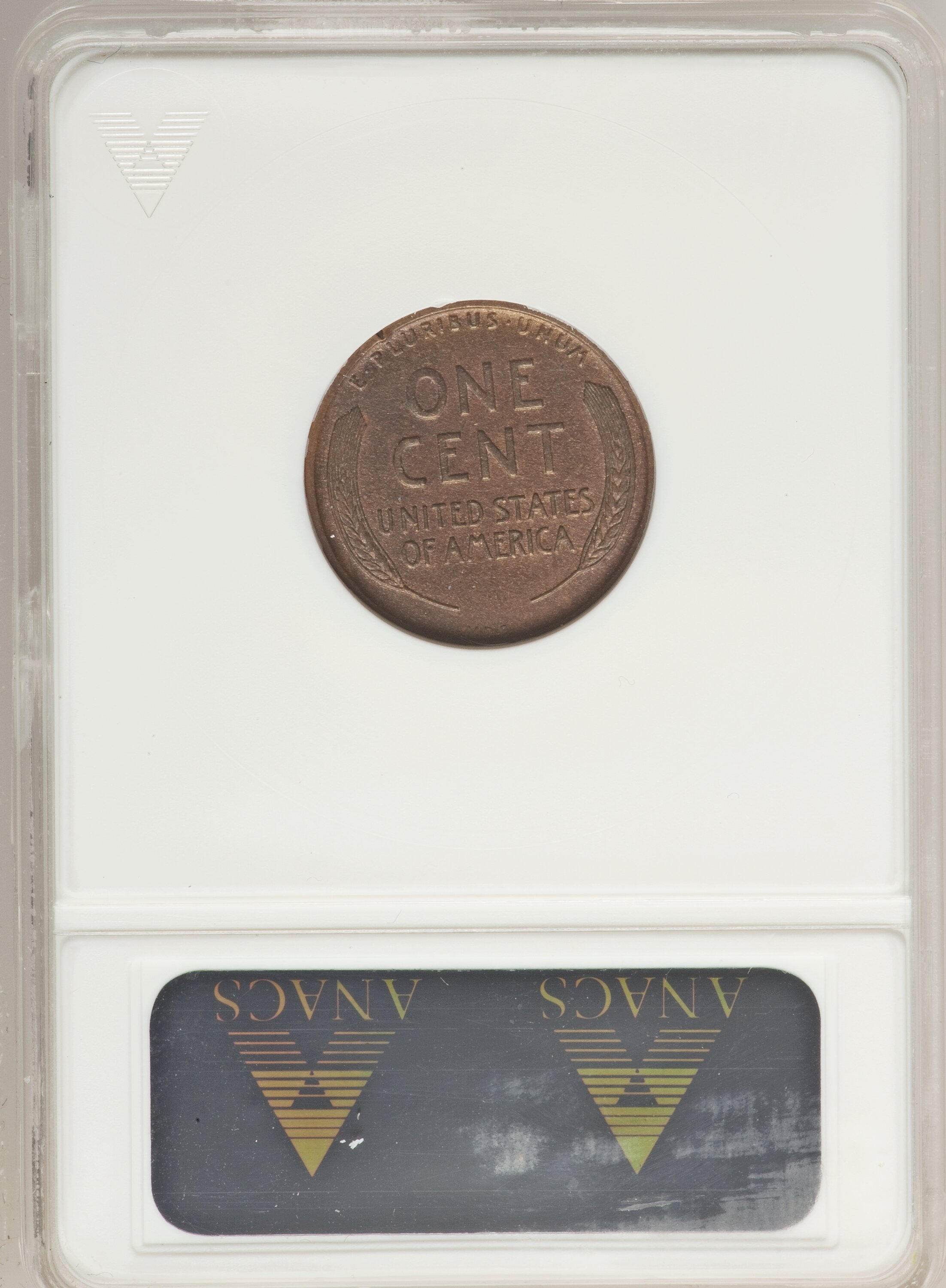 1909 VDB 1c MS RB MS60 RB CAC thumbnail 2