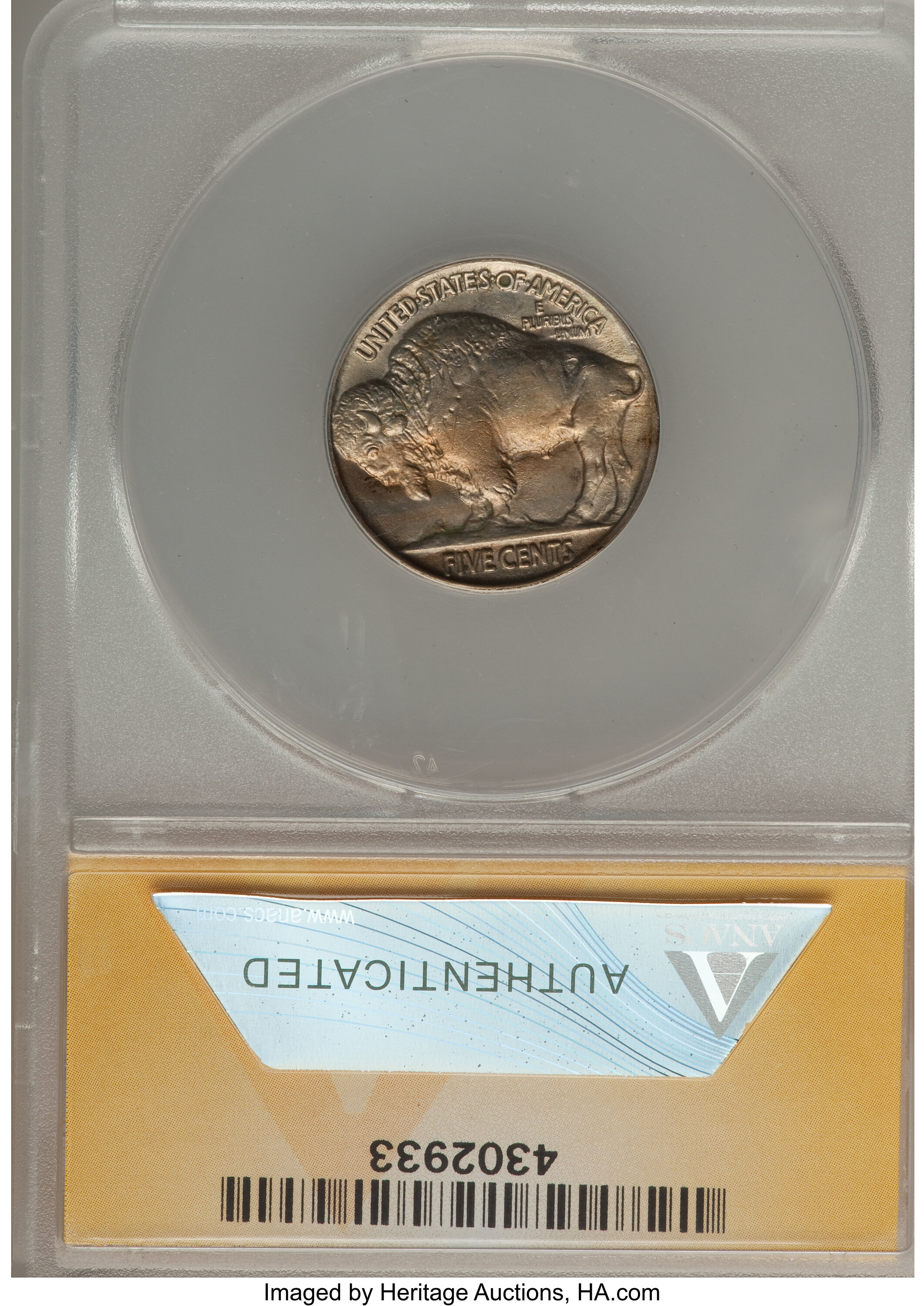 1913 5c Buffalo, Type 2 MS60 thumbnail 2