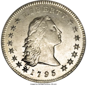 image for: 1795 $1 Flowing Hair, Two Leaves MS64 NGC....