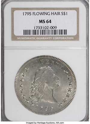 image for: 1795 $1 Flowing Hair, Two Leaves MS64 NGC....