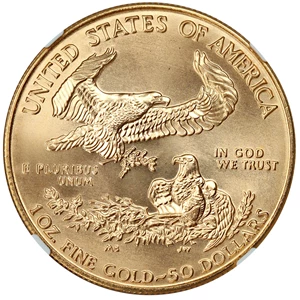 image for: Mint Error: 1995 Gold Eagle $50 NGC MS69 (Obverse Struck Thru)