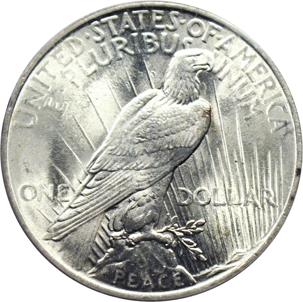 1924 $1  Doubled Reverse, VAM-2 MS64 CAC thumbnail 2
