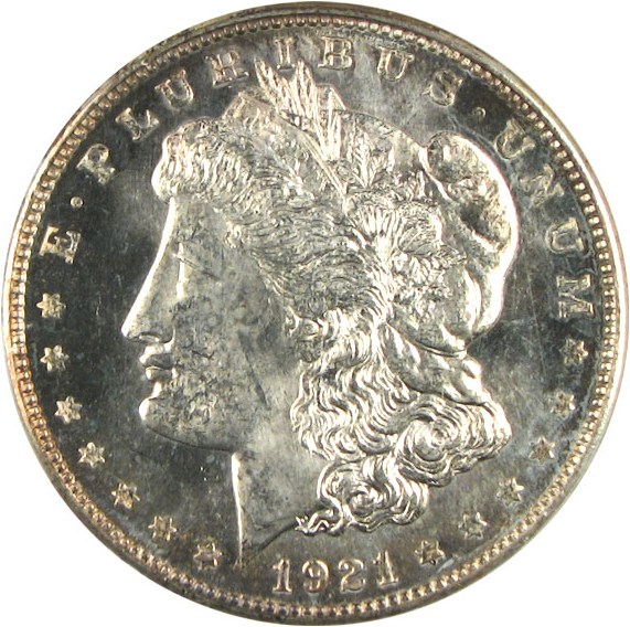 image for: 1921-D $1  NGC MS64  DMPL