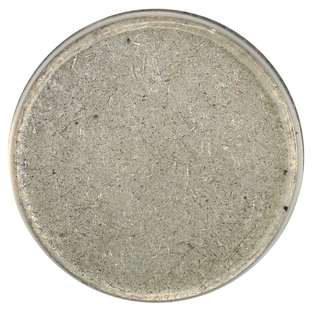 image for: No Date Silver 10c Planchet ANACS MS60 (Type 2 Blank  2.52 Grams)