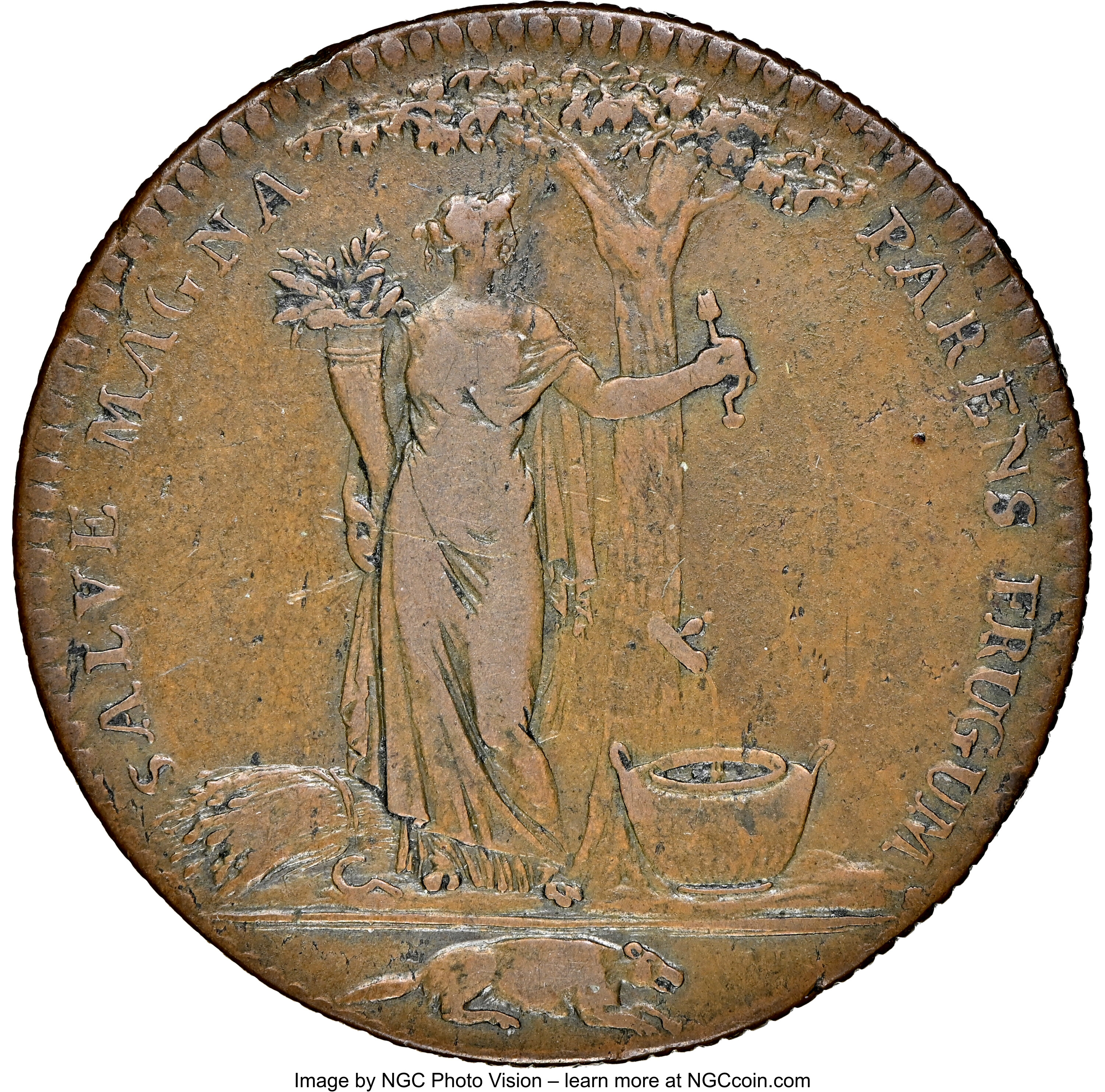image for: 1796 Castorland Medal, Copper, Original, VF35 NGC. W-9110, R.7. Ex: Long Island Collection.From The Long Island Collec...