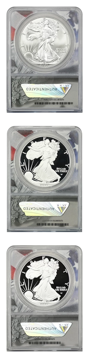 image for: 2021-P/S/W Silver Eagle $1 ANACS MS70/PR70 DCAM (Type 2 3 Coins)