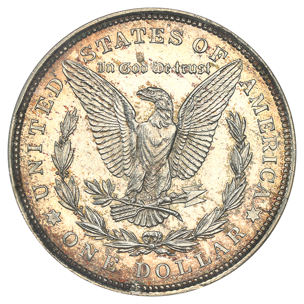 1921 $1  Morgan MS DMPL MS63 DMPL CAC thumbnail 6