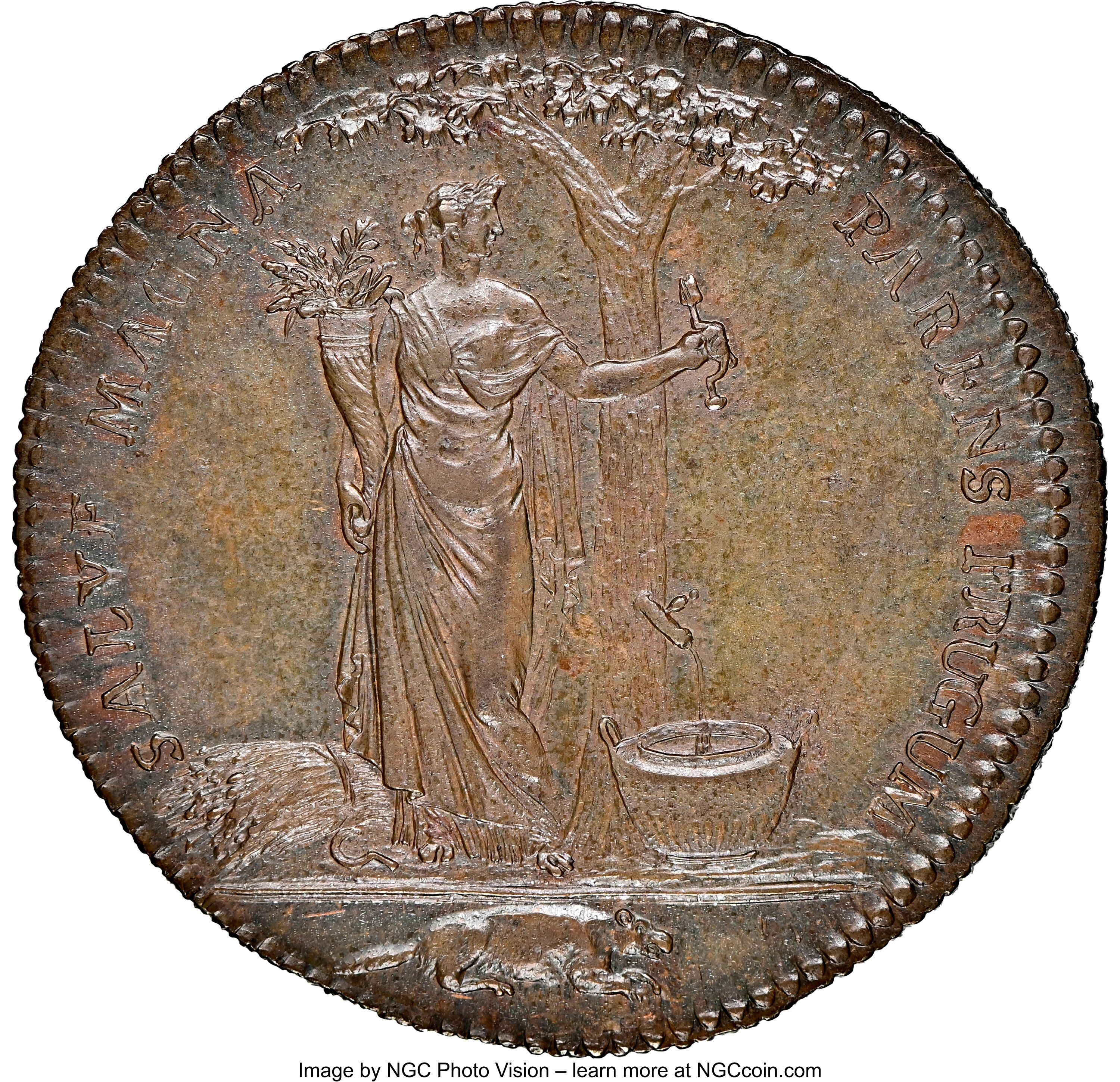 image for: 1796 Medal Castorland Medal, Copper, MS62 Brown NGC. W-9110, R.7....