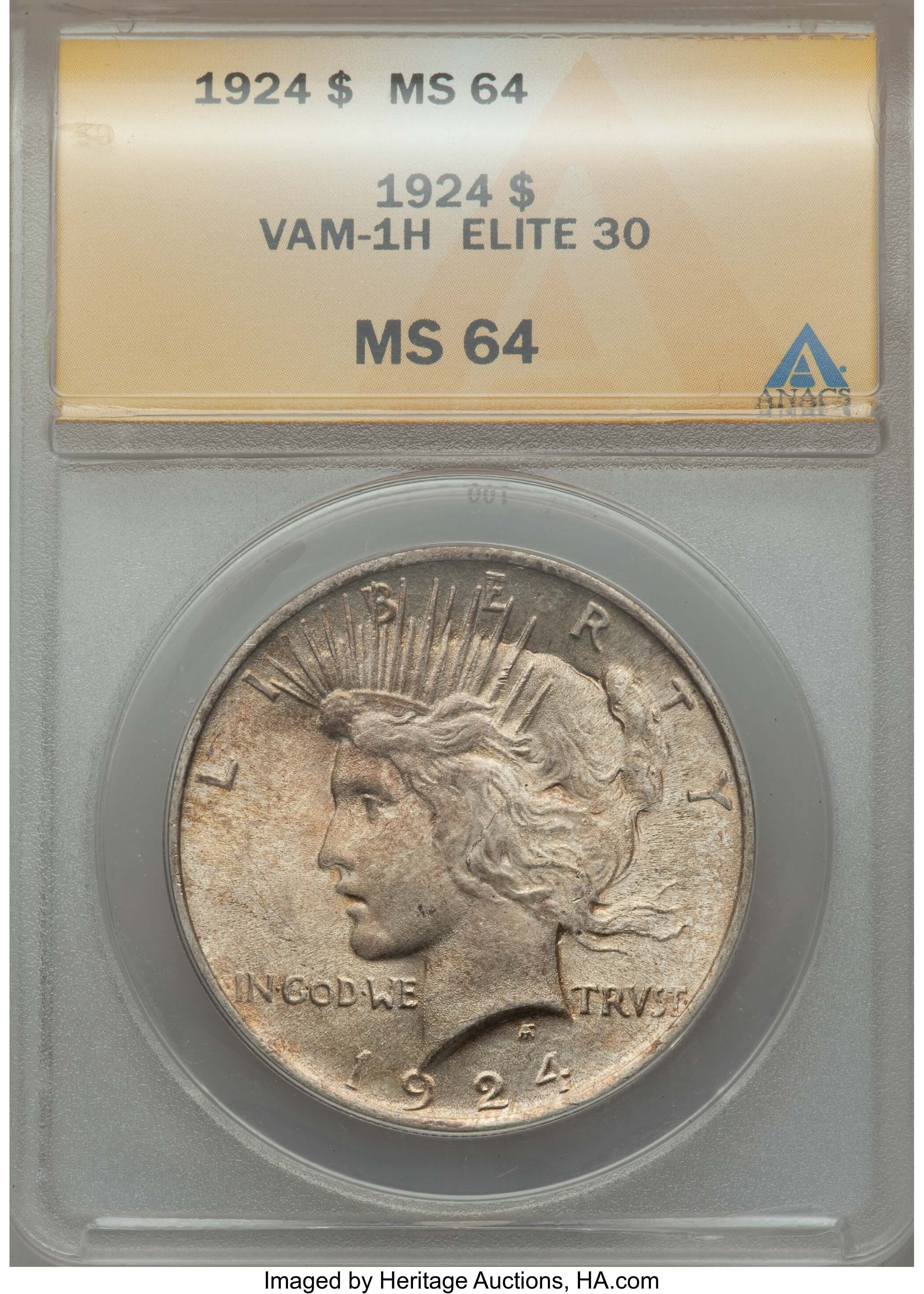 1924 $1 Extra Hair, VAM-1H MS