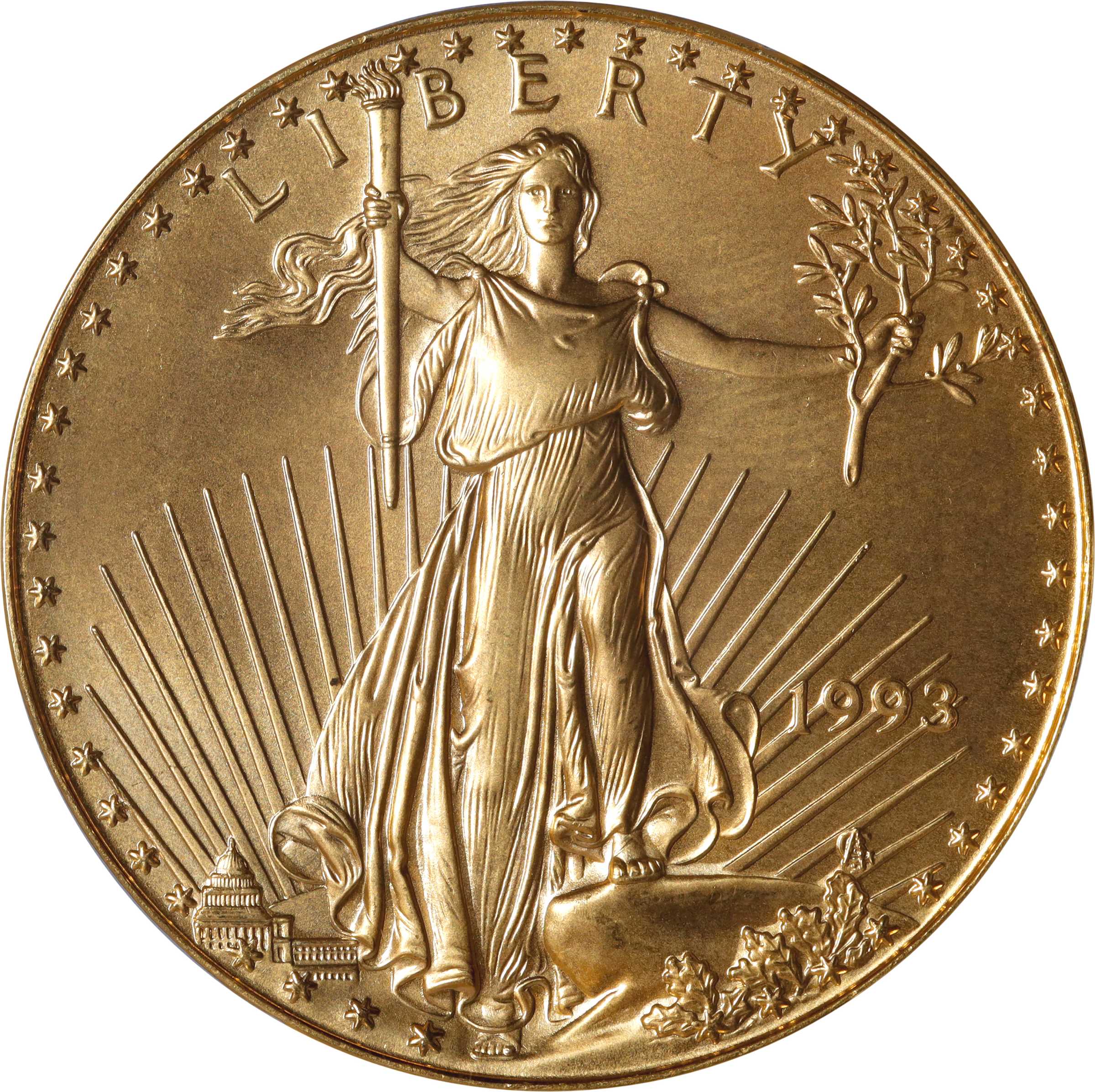 image for: 1993 One-Ounce Gold Eagle. MS-69 (PCGS).