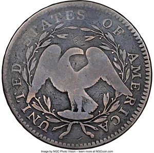 image for: 1795 50C 2 Leaves, O-102, T-26, R.3, VG10 NGC. NGC Census: (3/17). PCGS Population: (2/13). VG10. From The Allan H. G...