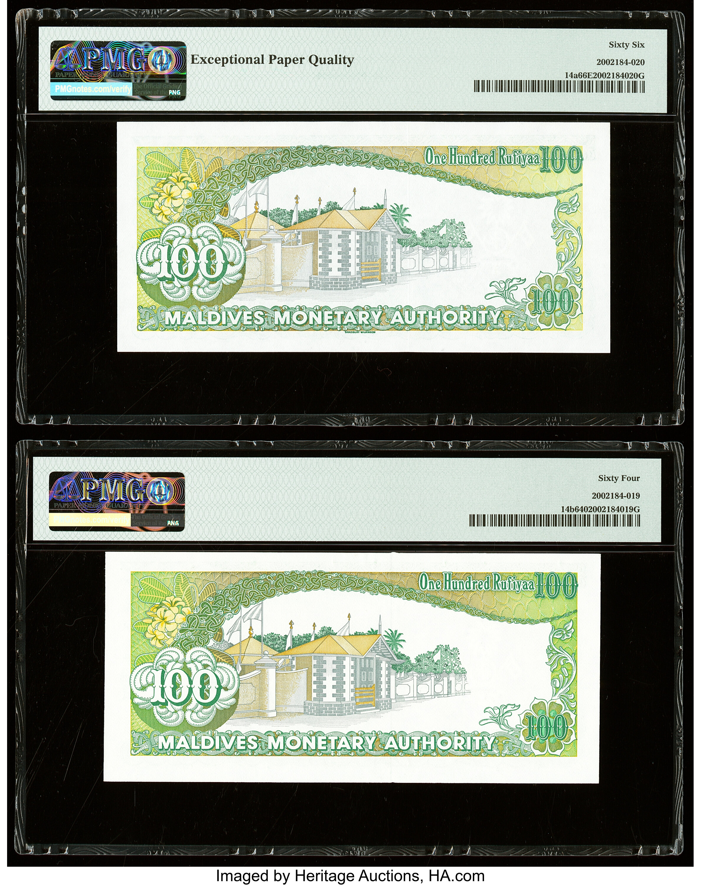 image for: Maldives  100 rufiyaa (B206as1)