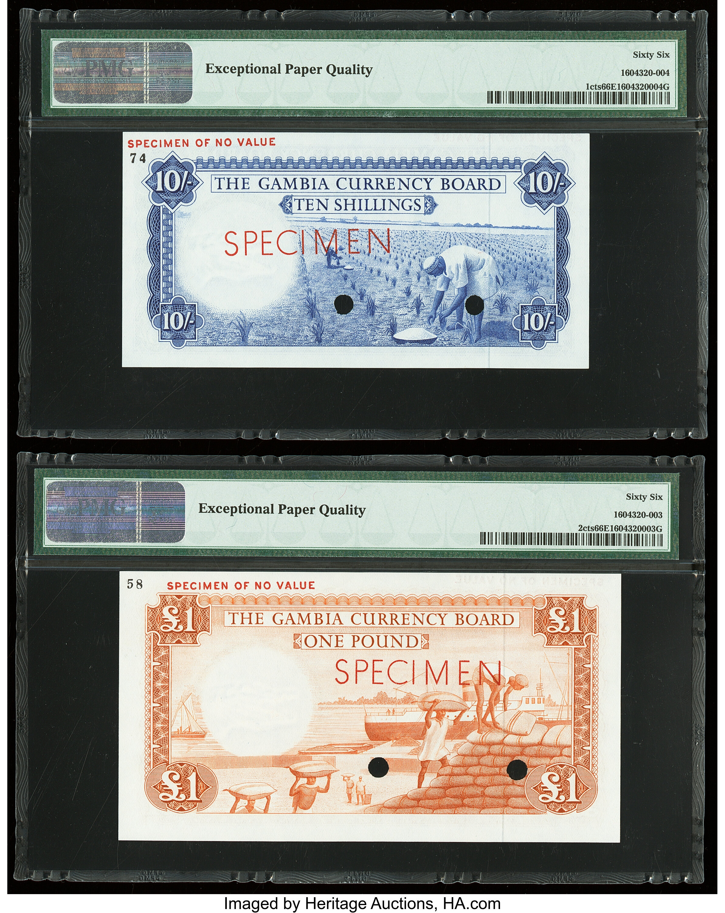 image for: Gambia  1 pound(B102a)
