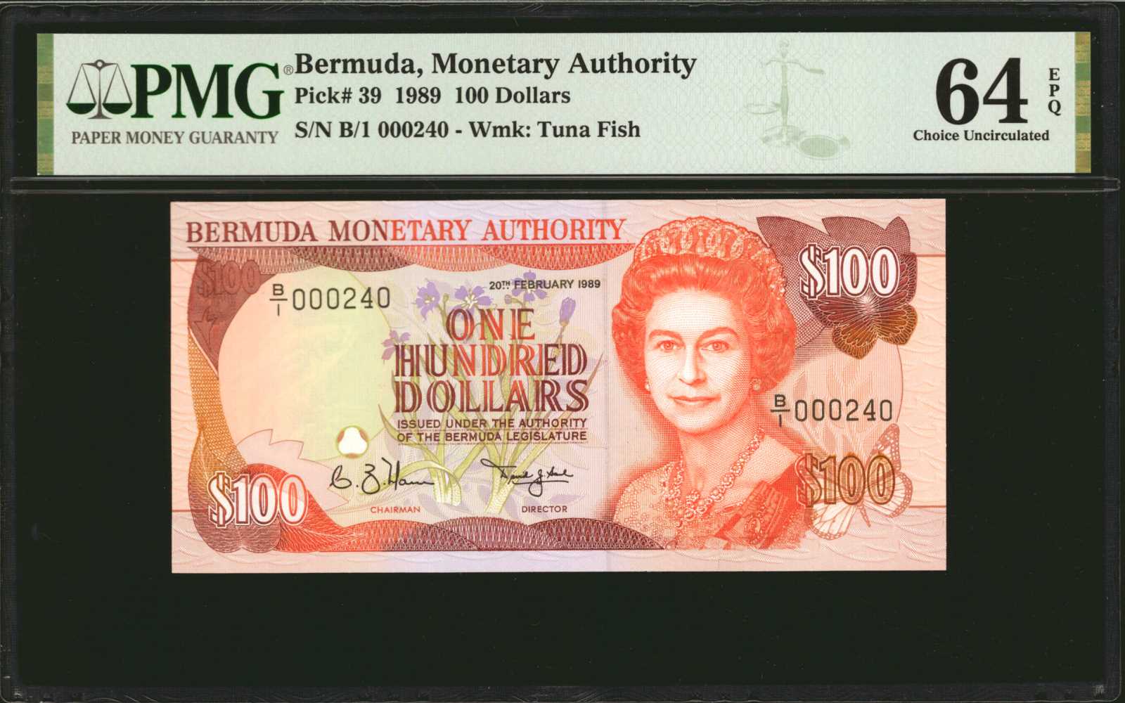 image for: Bermuda  100 dollars (B213az)
