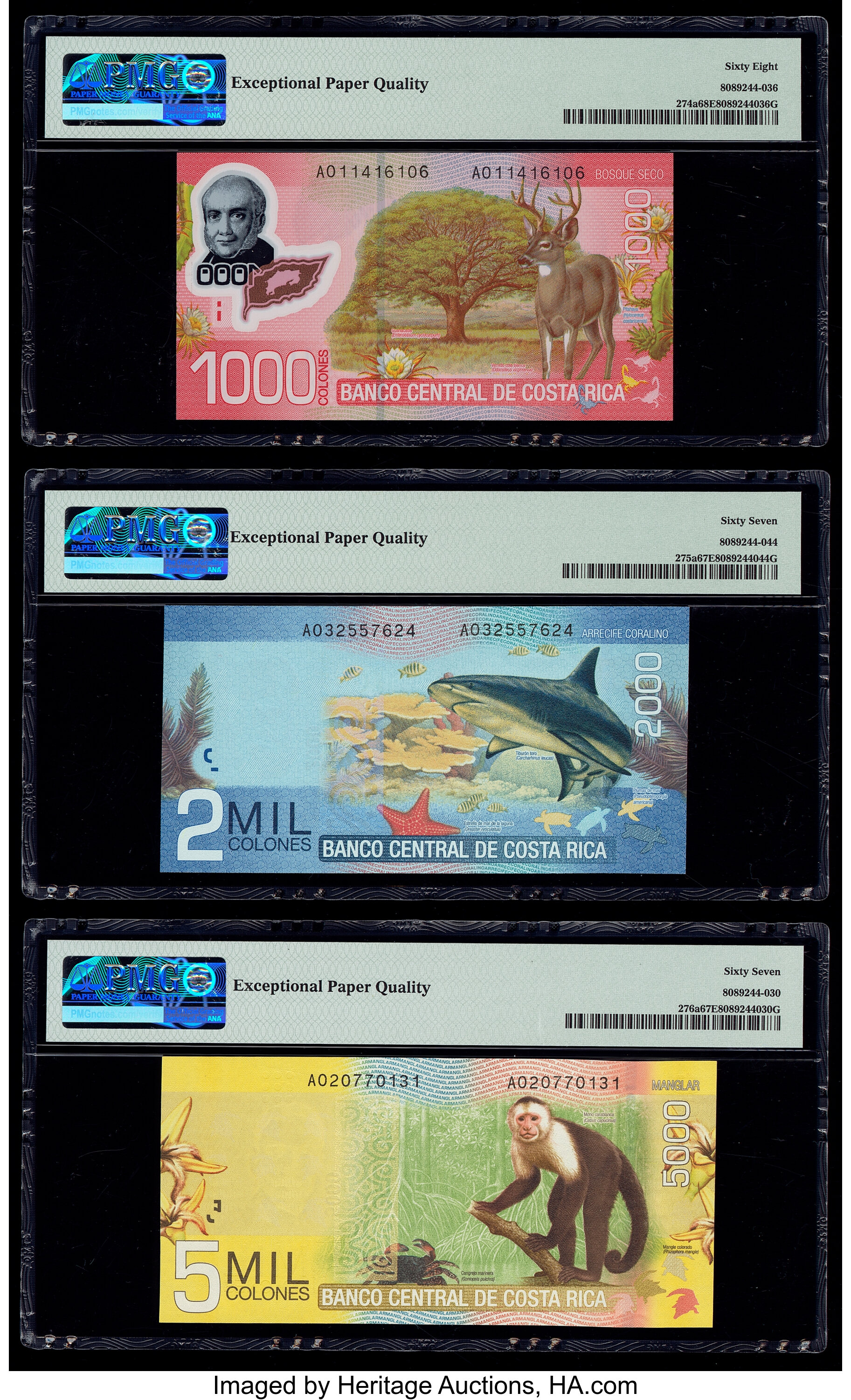 image for: Costa Rica  5,000 colones (B560a)