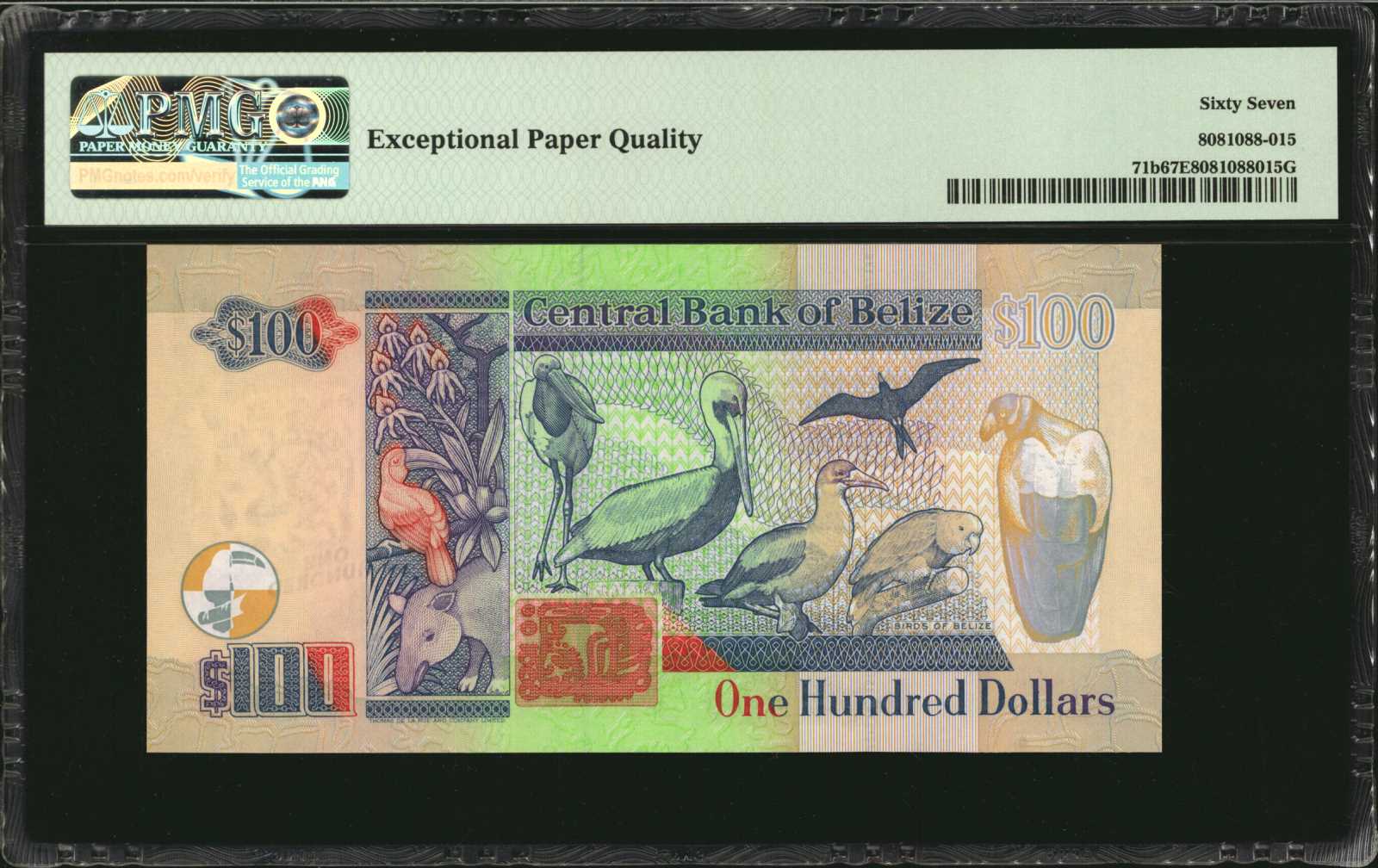 image for: Belize  100 dollars (B329b)